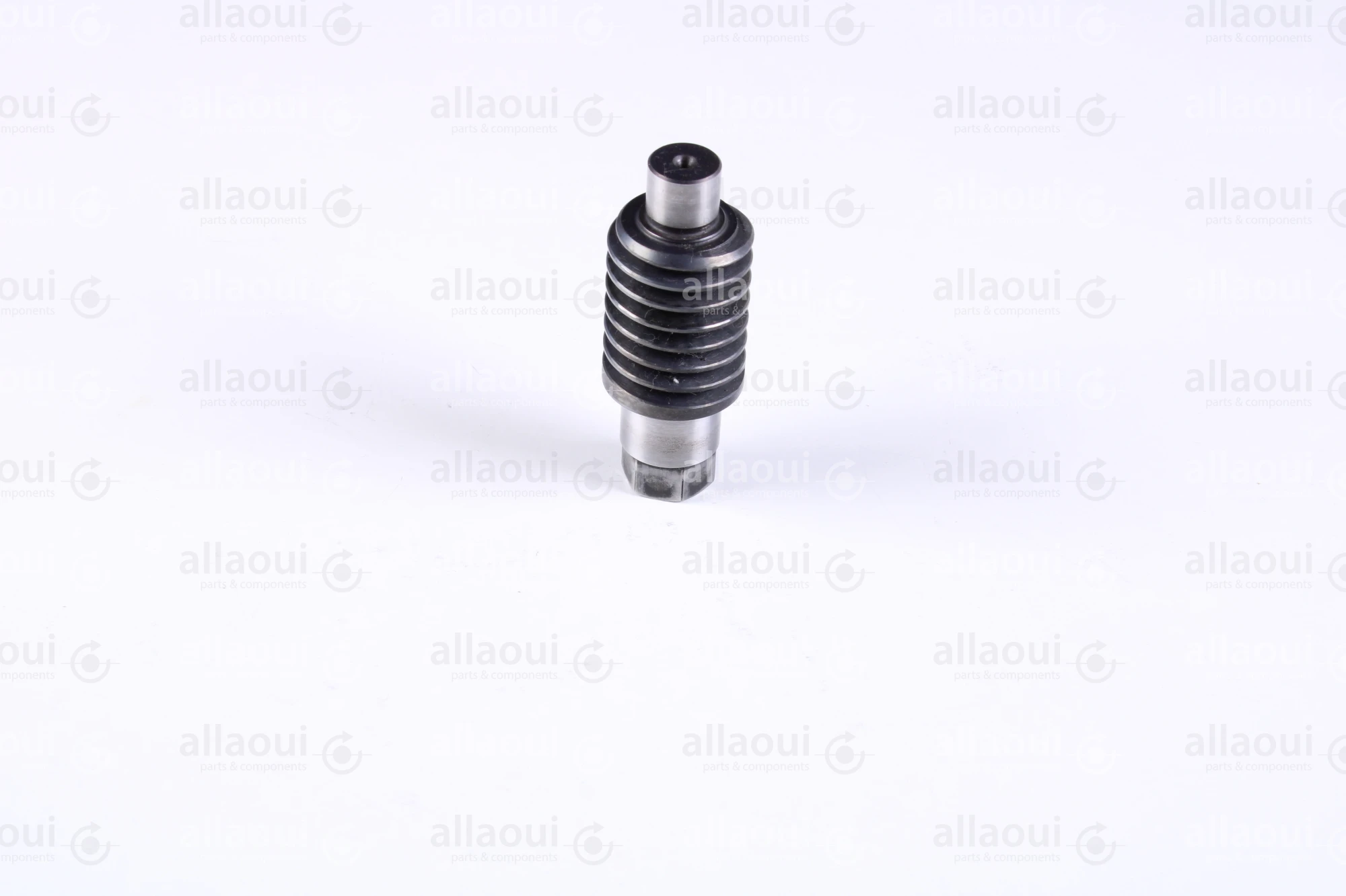 Heidelberg Gear 7G.006.031/02