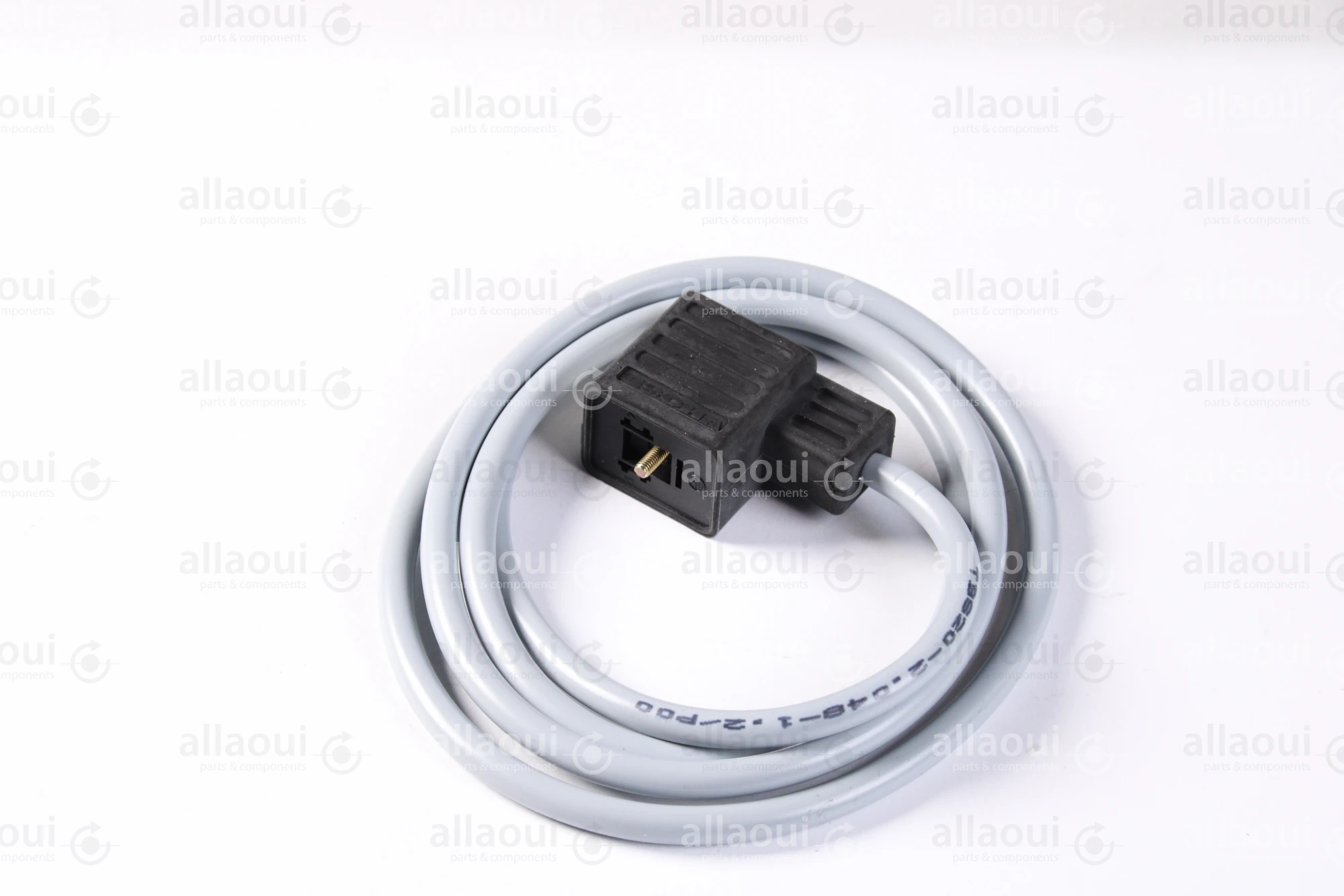 Escha 2-Pole Magnet Connector with Cable TBS20-2.048-1,2/P00