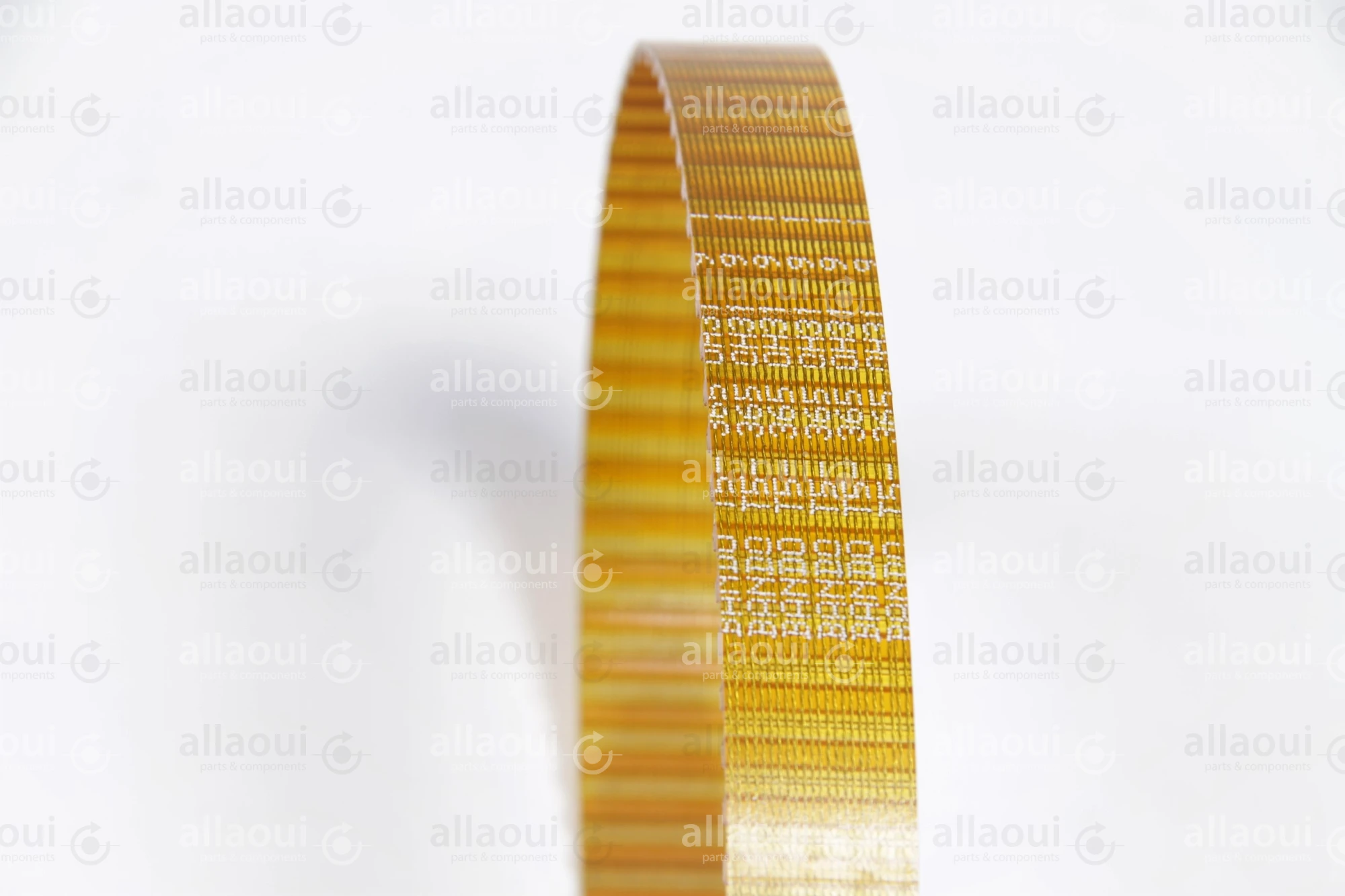 Müller Martini Toothed Belt 3738.1234.4