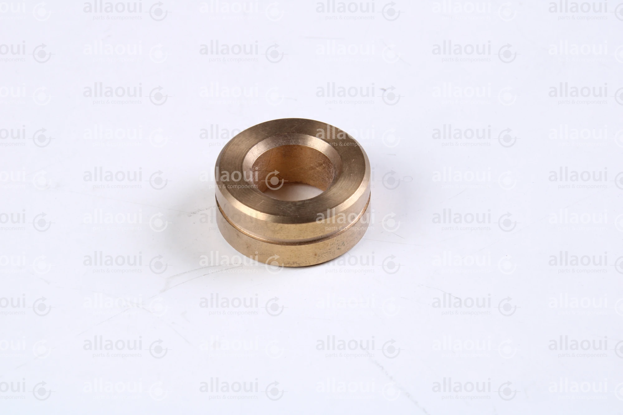Polar Bearing bushing 448355