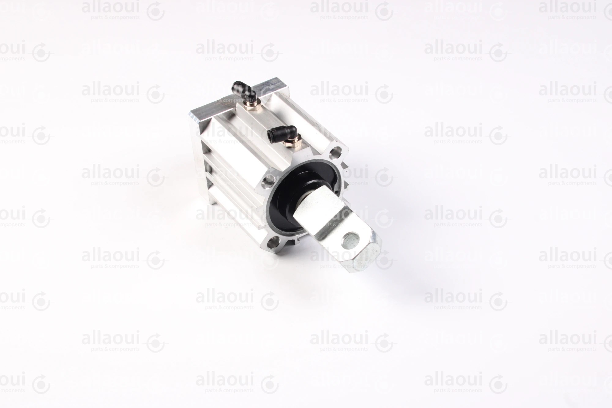 Elettra Pneumatic Cylinder 1026652-00