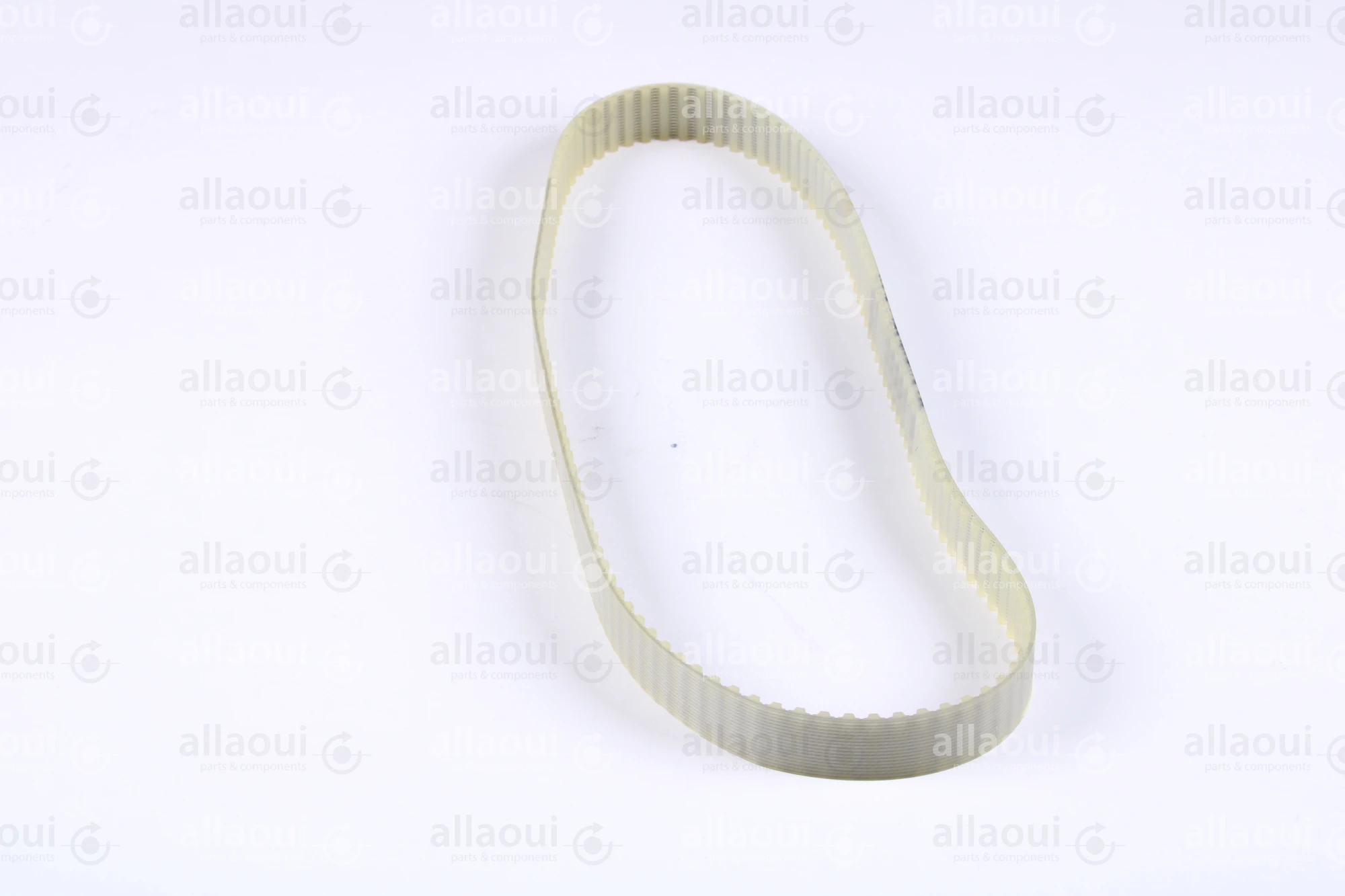 Müller Martini Toothed Belt 16T5/590 3502.1167.4