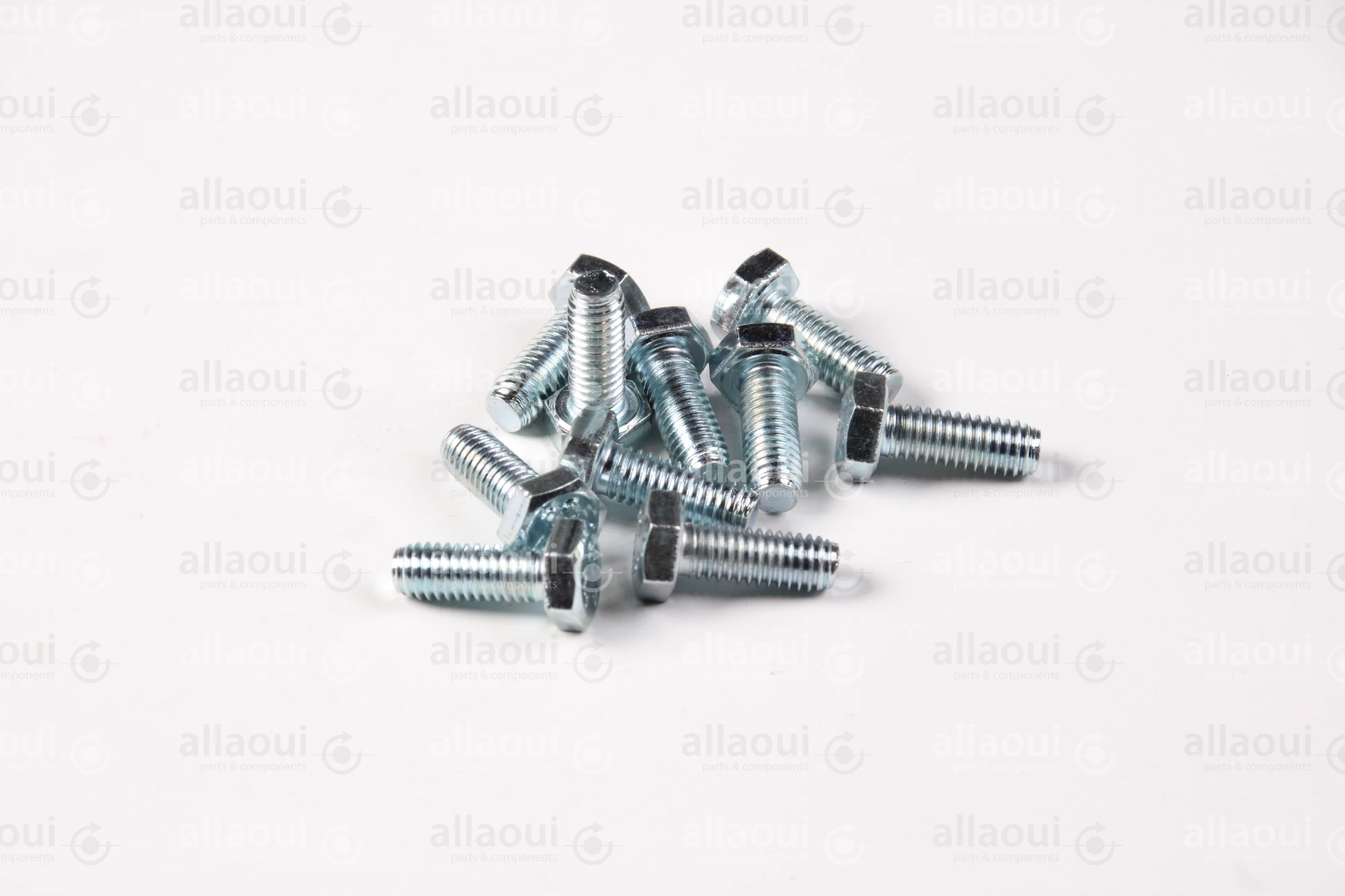 Contiweb Screw (10 Pieces) WH.100147002