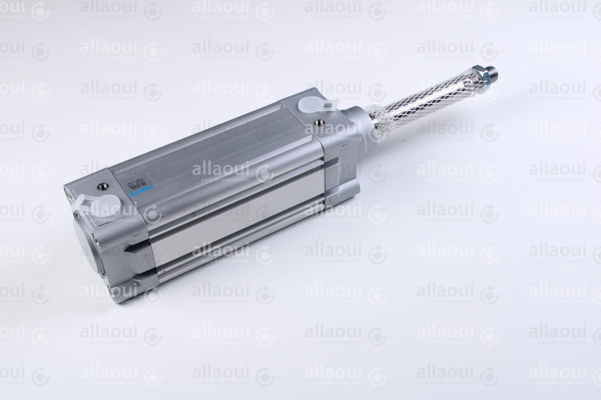 Festo Double acting standard cylinder DNC-63-100-PPV-A-100K8