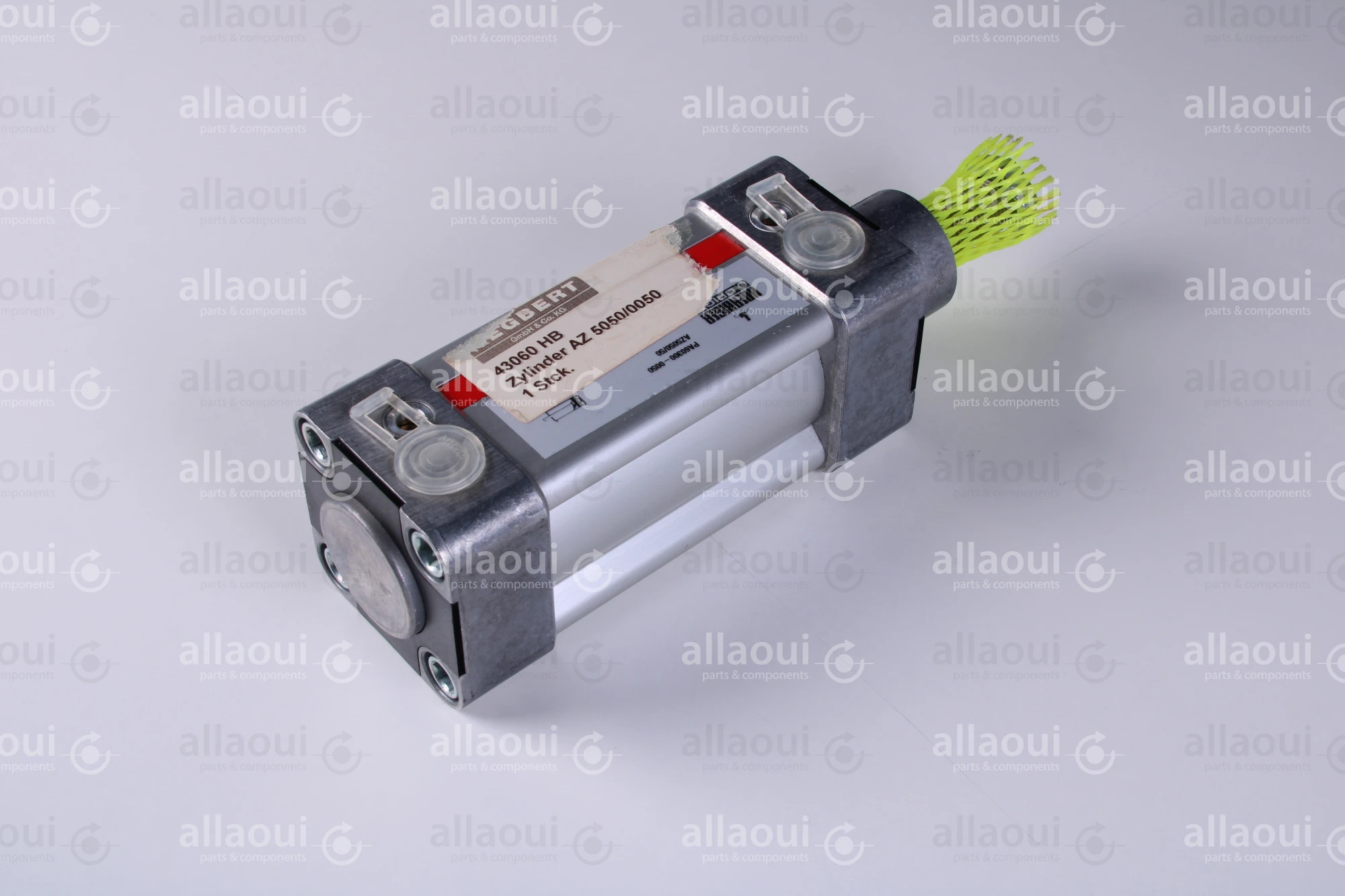 Segbert Pneumatic Cylinder AZ 5050/00050 43060 HB