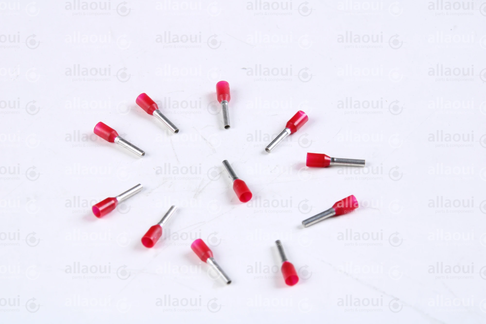 Koenig & Bauer (KBA) End-Fitting (11 Pieces) L0721812