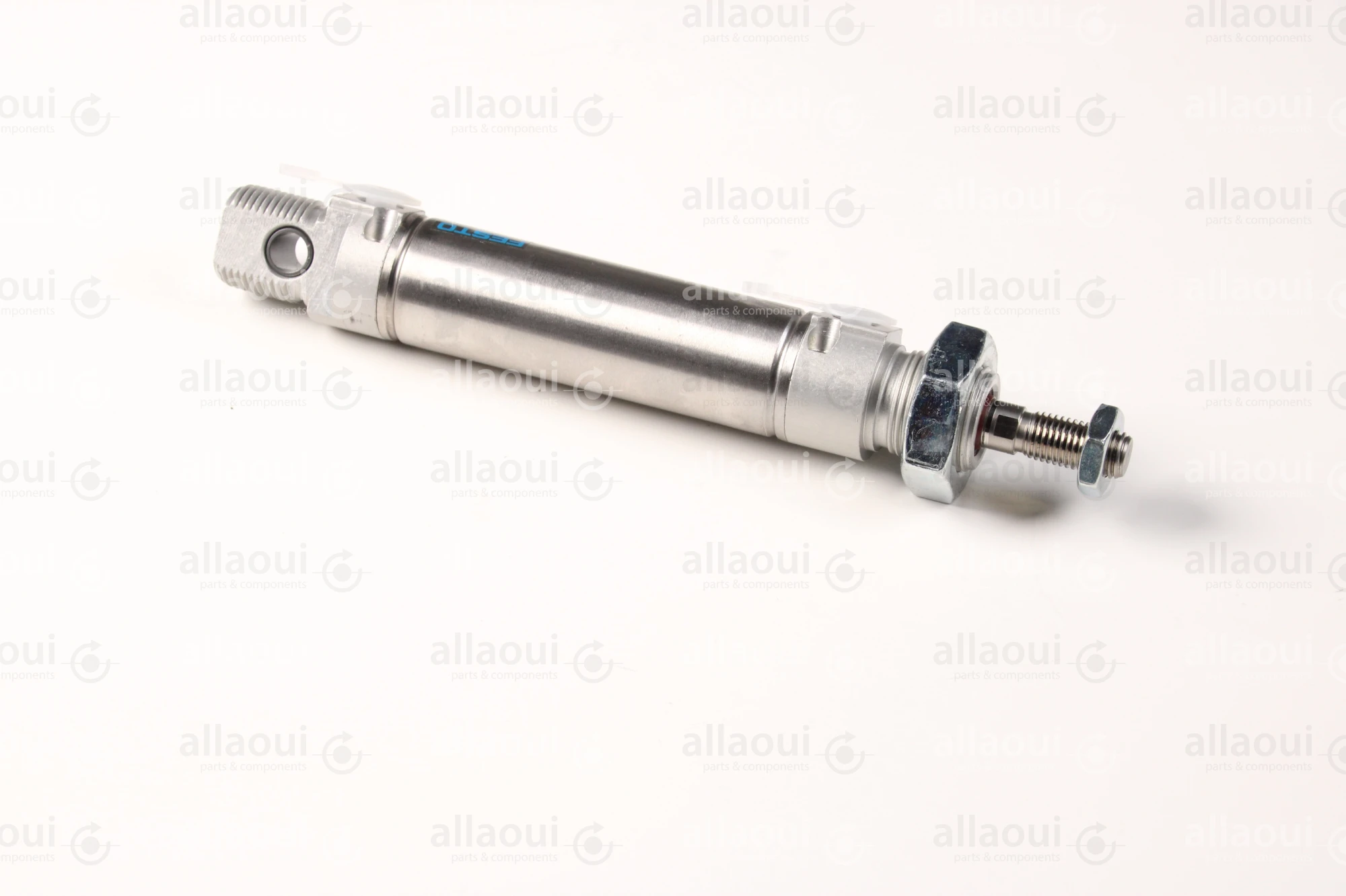 Festo Pneumatic Cylinder 19246