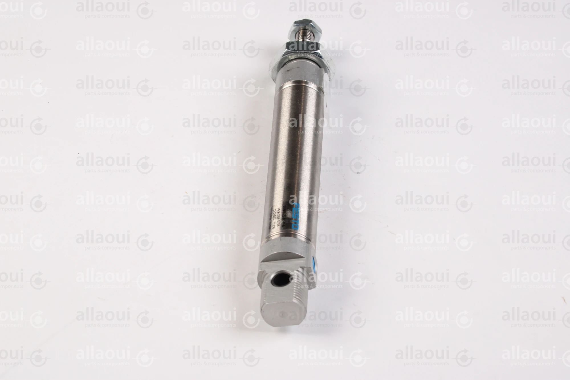 Festo Pneumatic Cylinder 16.97008-0906