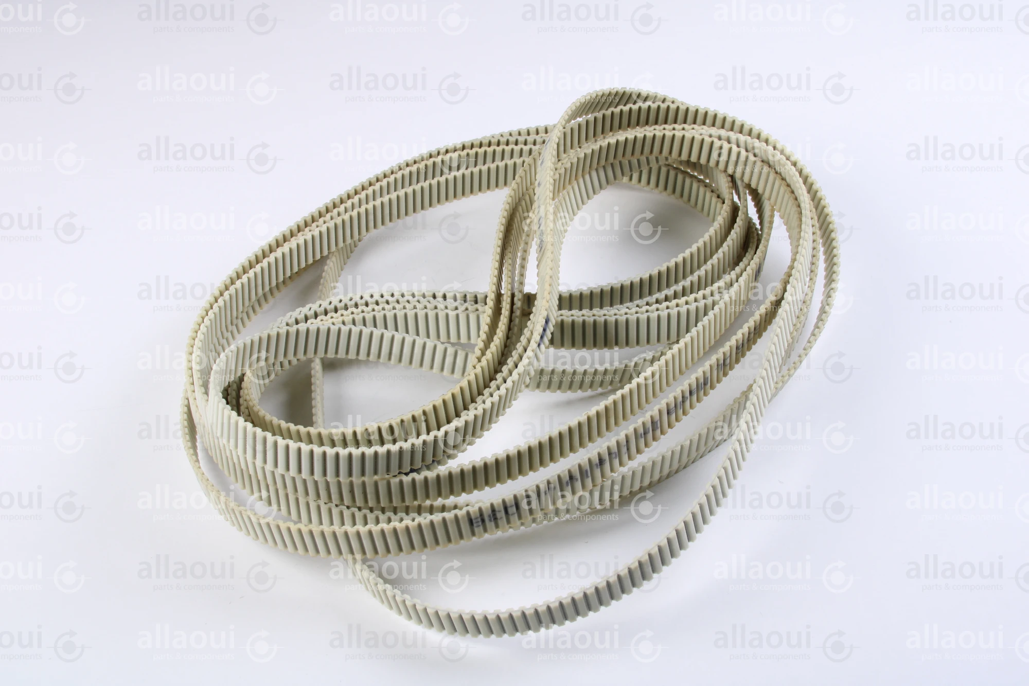 Müller Martini Toothed Belt 3697.3013.4