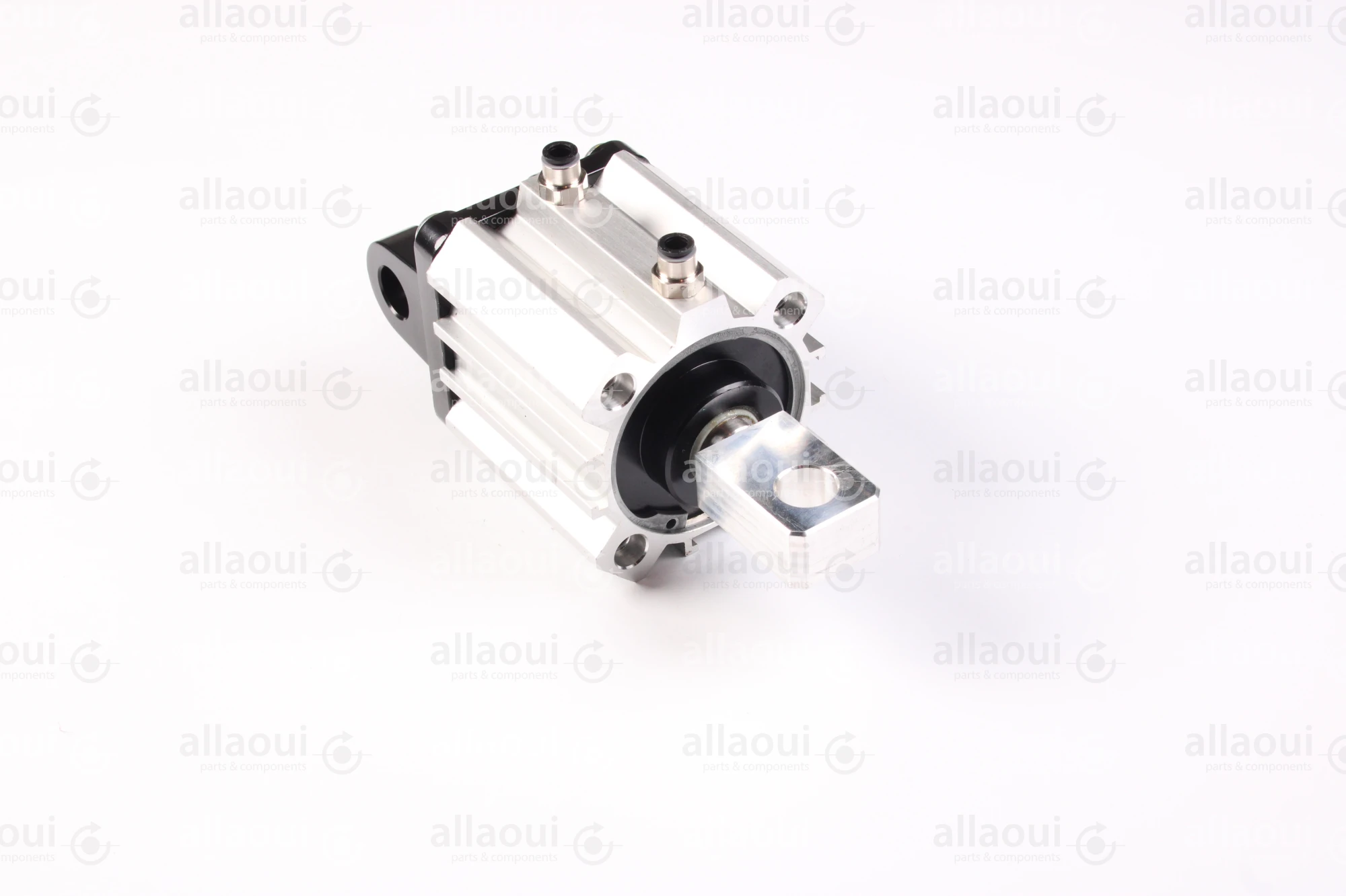 Elettra S.r.l Pneumatic Cylinder 1026653-00