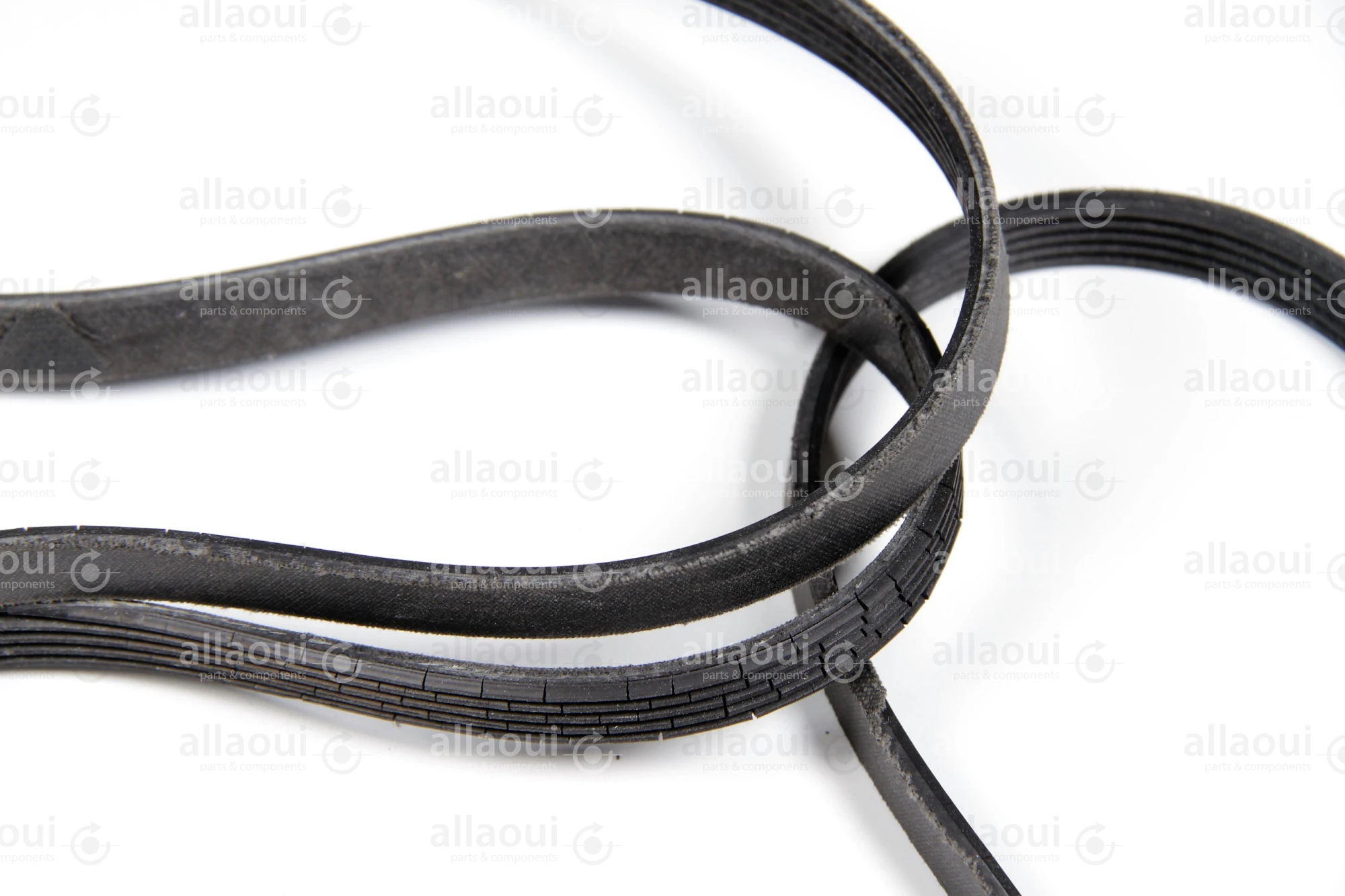 MBO Poly-V-Belt J8-1651 LW 0107853