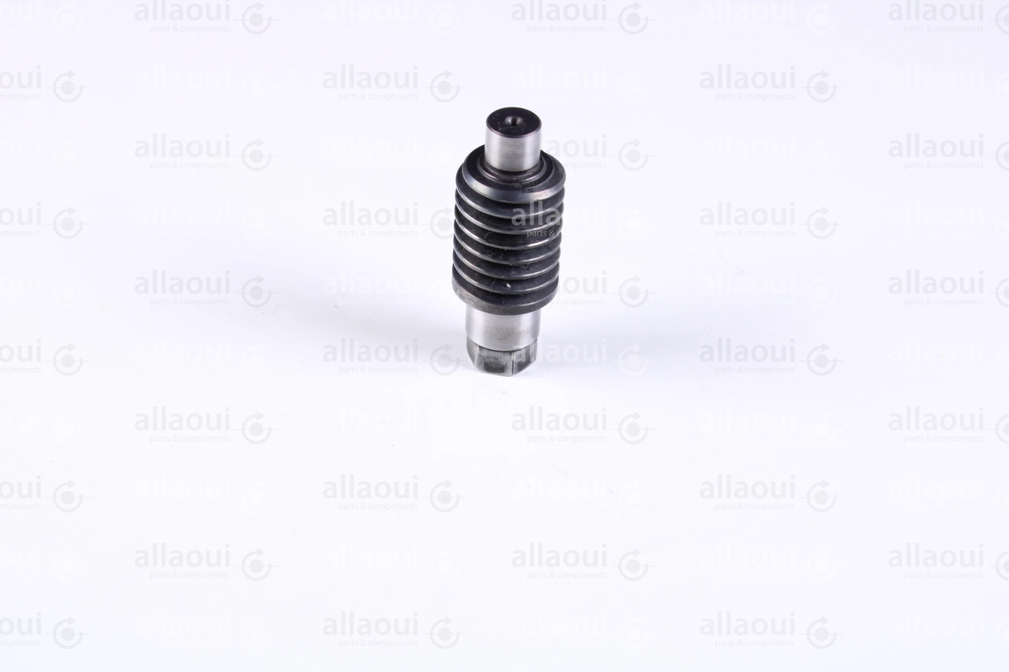 Heidelberg Gear 7G.006.031/02