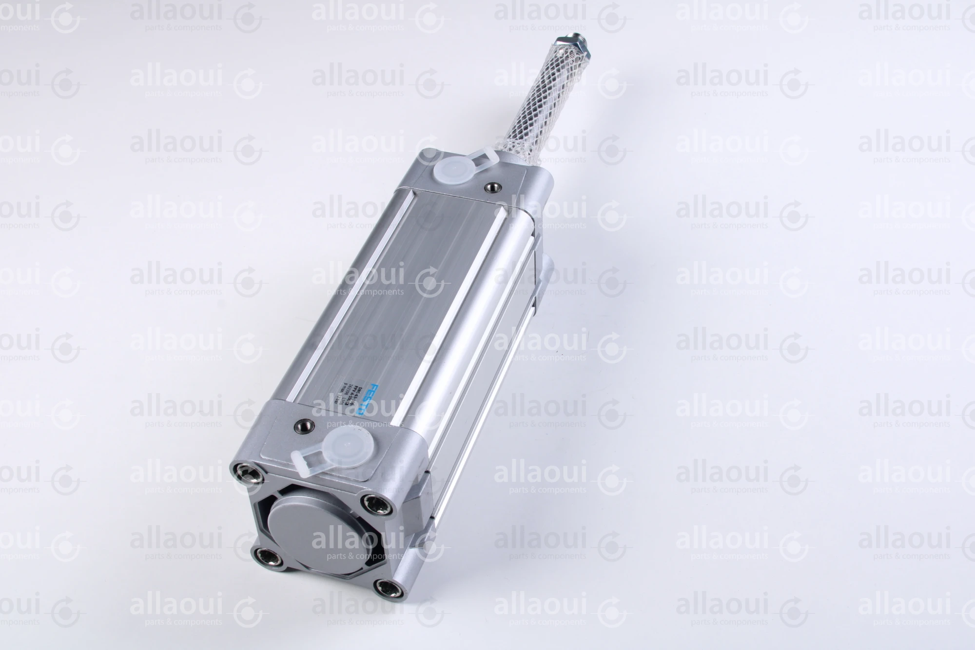 Festo Double acting standard cylinder DNC-63-100-PPV-A-100K8