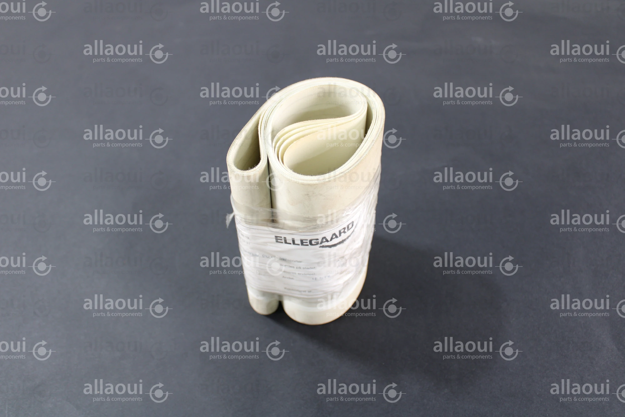 Ellegaard Transport Belt IE08W