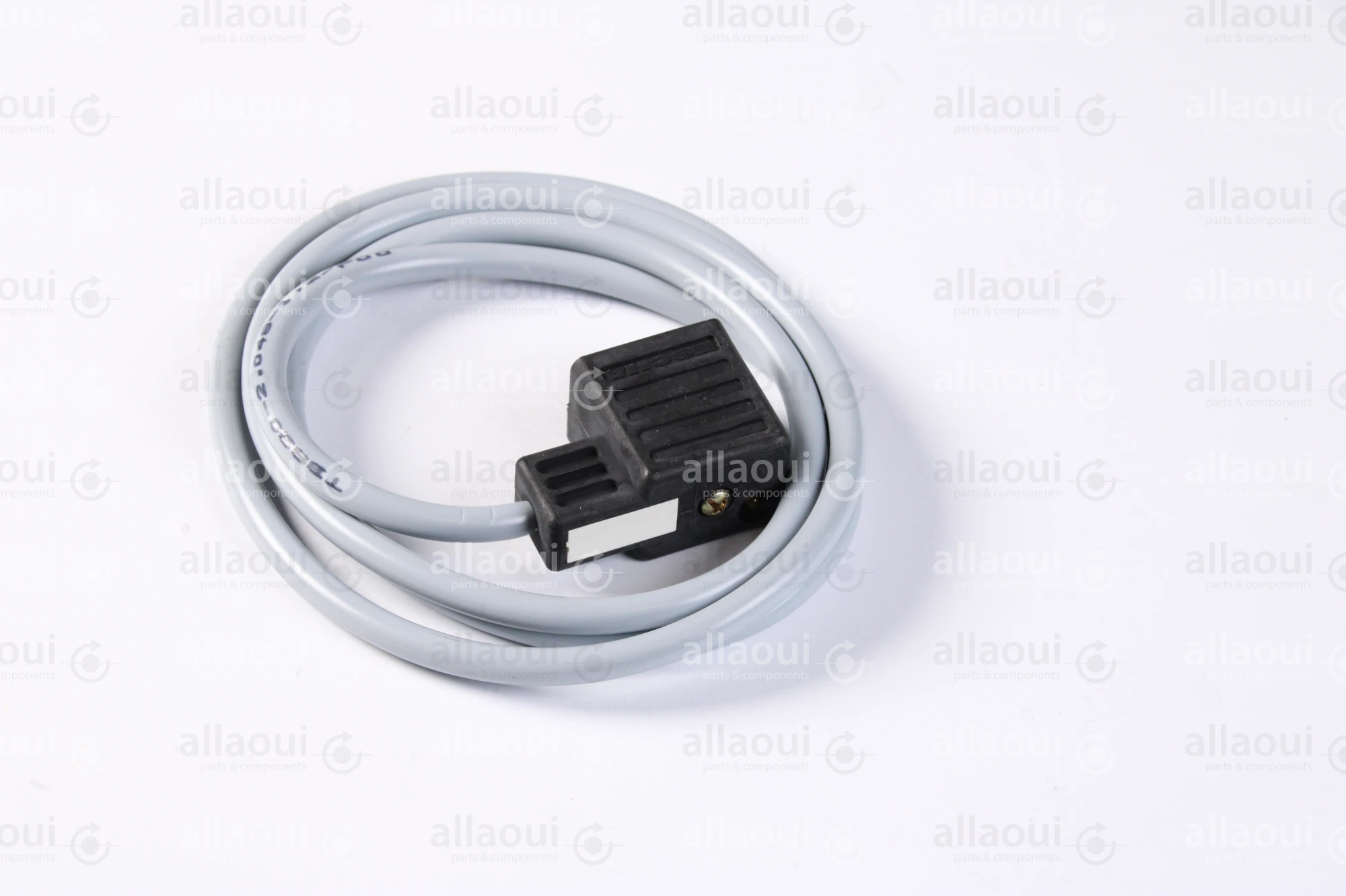 Escha 2-Pole Magnet Connector with Cable TBS20-2.048-1,2/P00