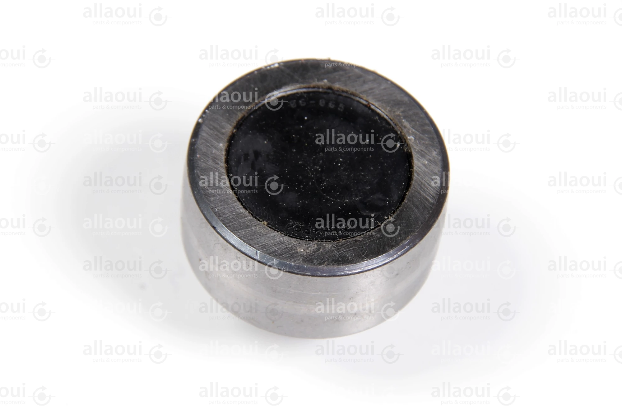 INA Tension Pulley F-231417.04.BSR