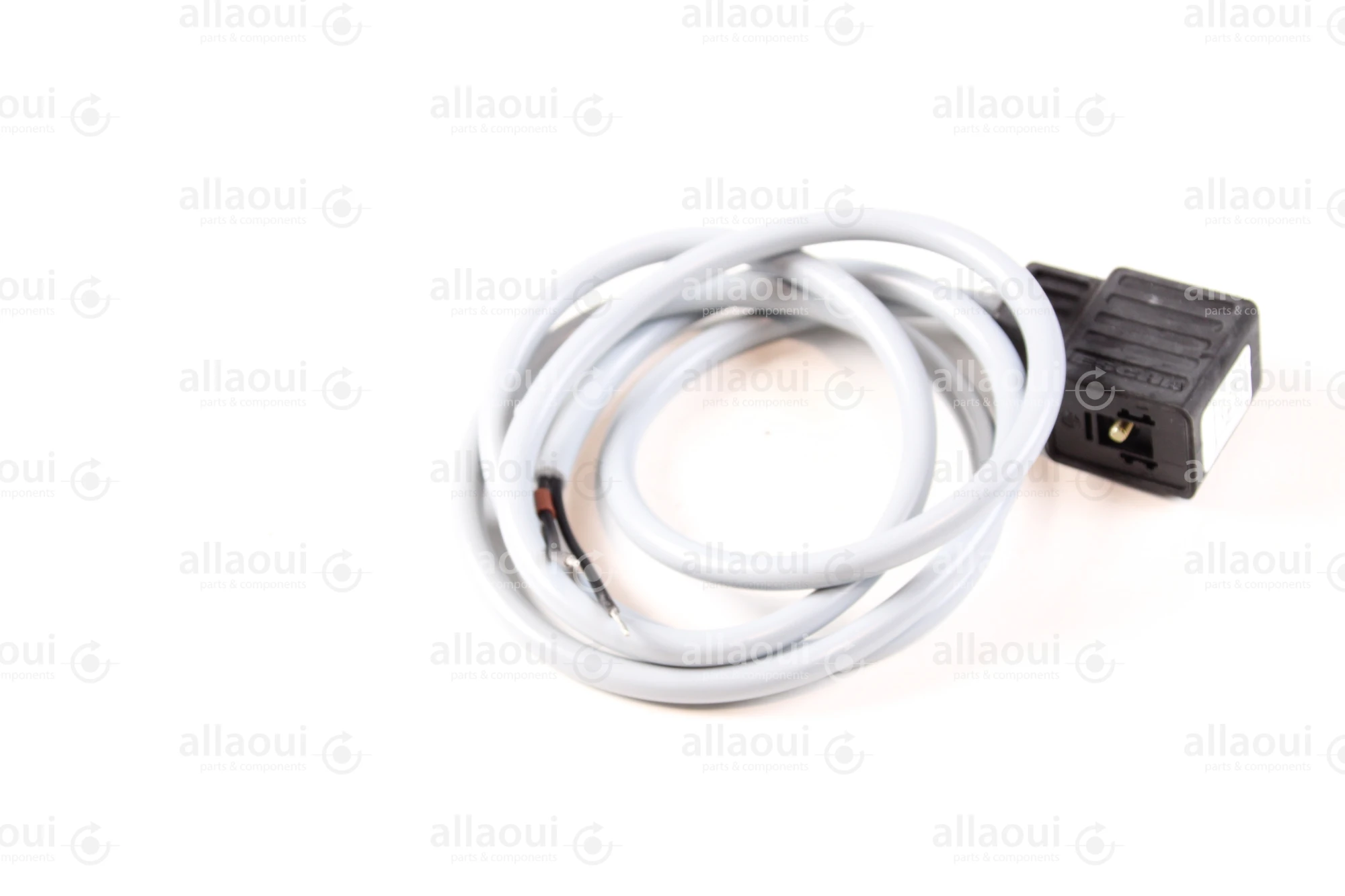 Escha 2-Pole Magnet Connector with Cable TBS20-2.048-1,2/P00