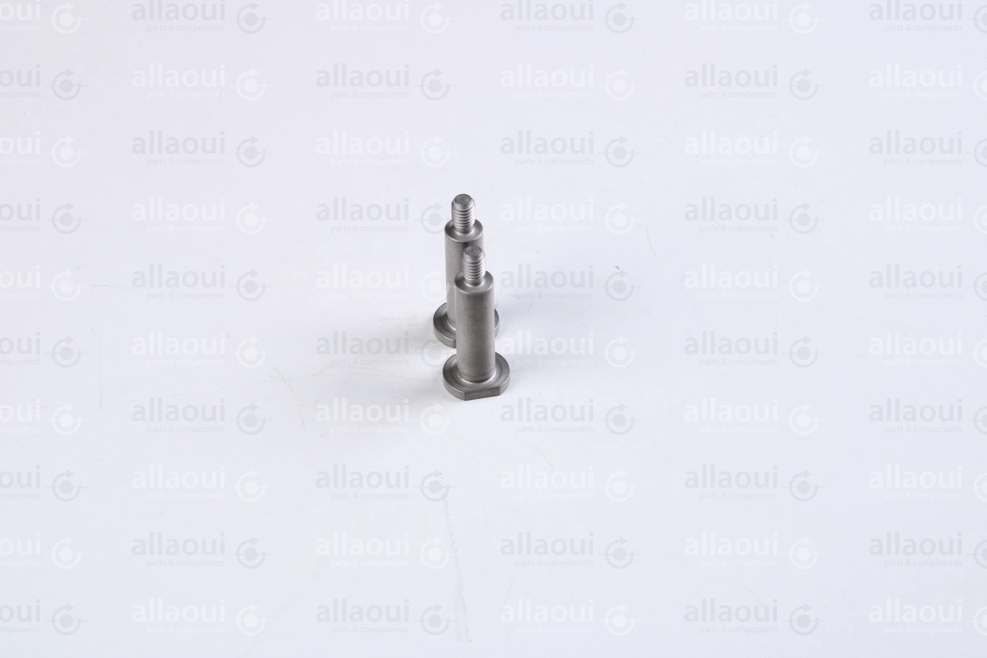 Ferag Guide 14x37 3114 8482