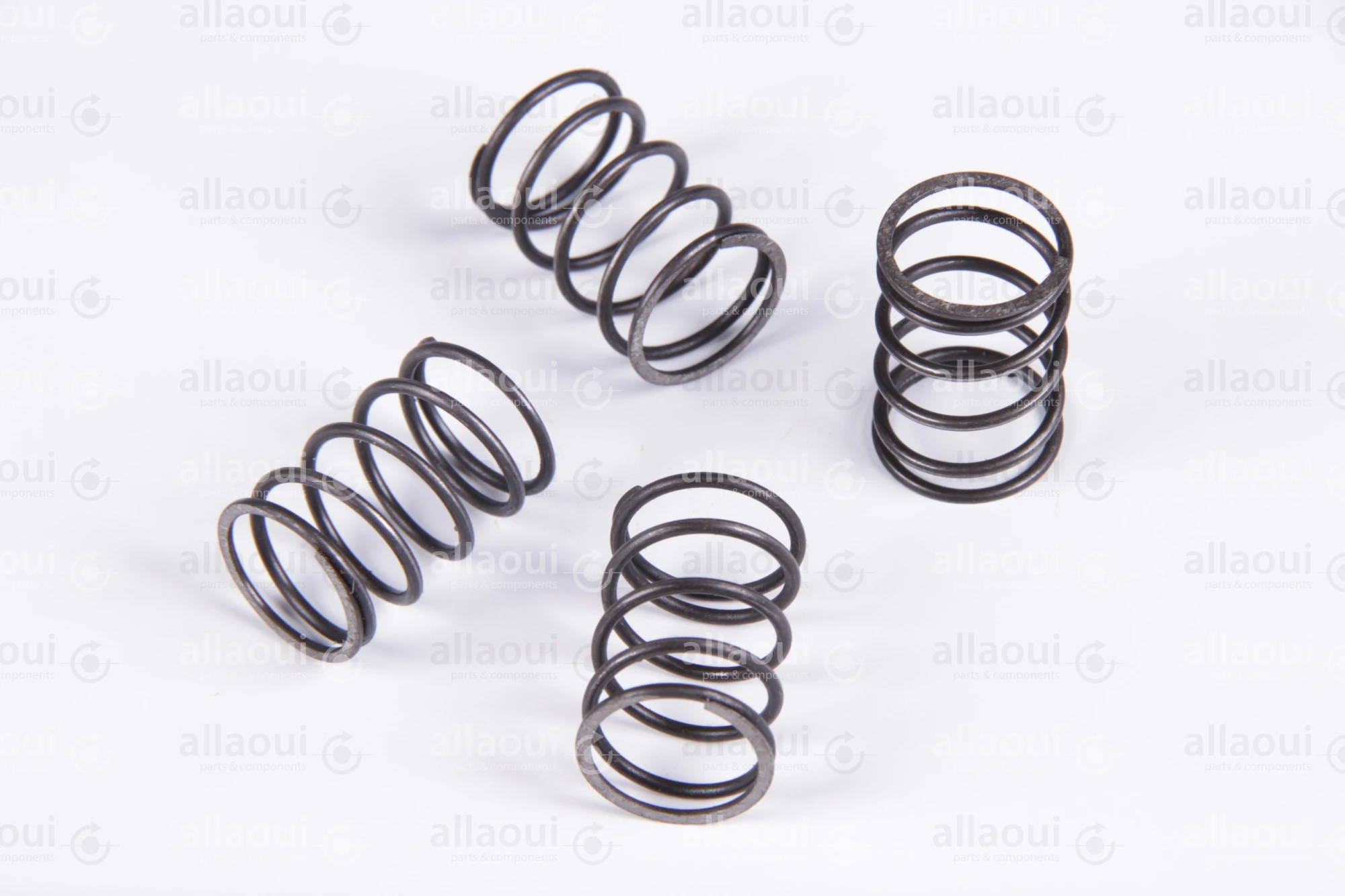 Heidelberg Spring 0034.2558