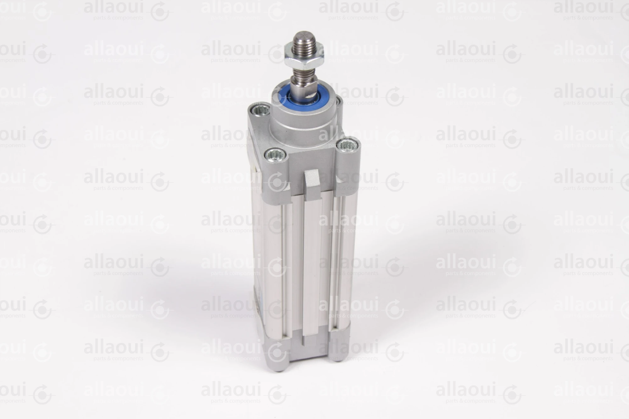 Festo Pneumatic Cylinder DNC-32-50-PPV-A