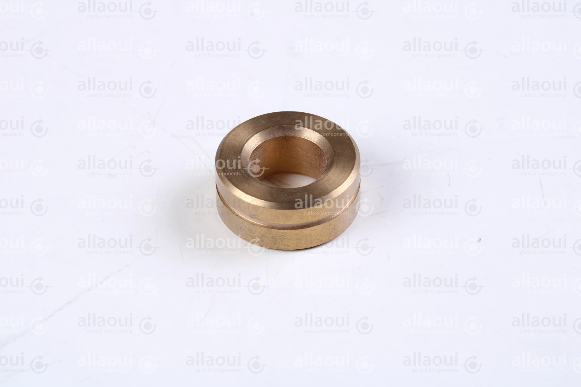 Polar Bearing bushing 448355