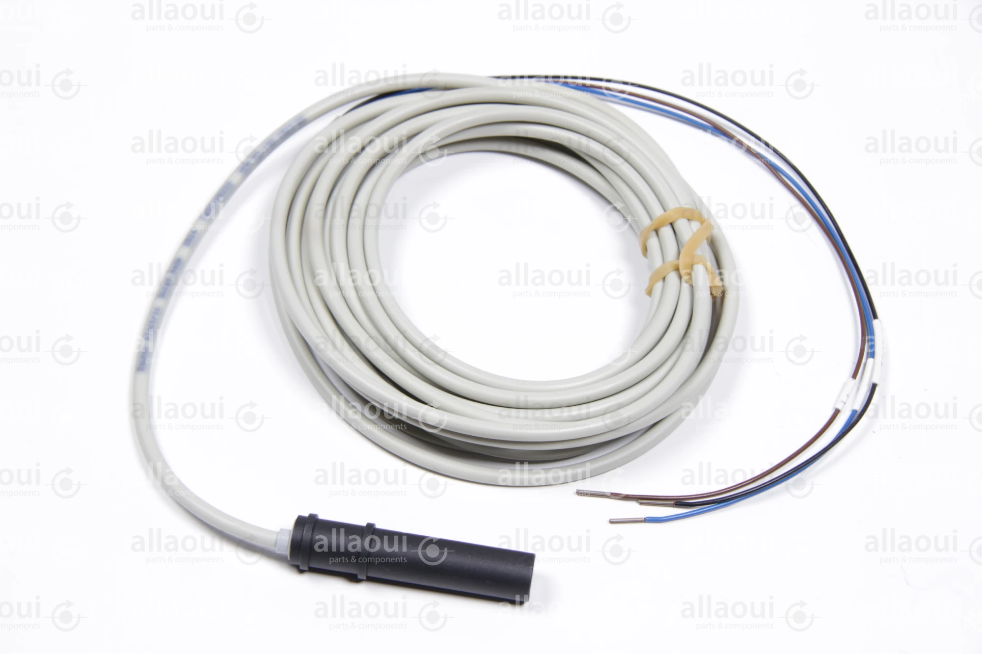 Heidelberg Capacitive Sensor M2.198.1563/05