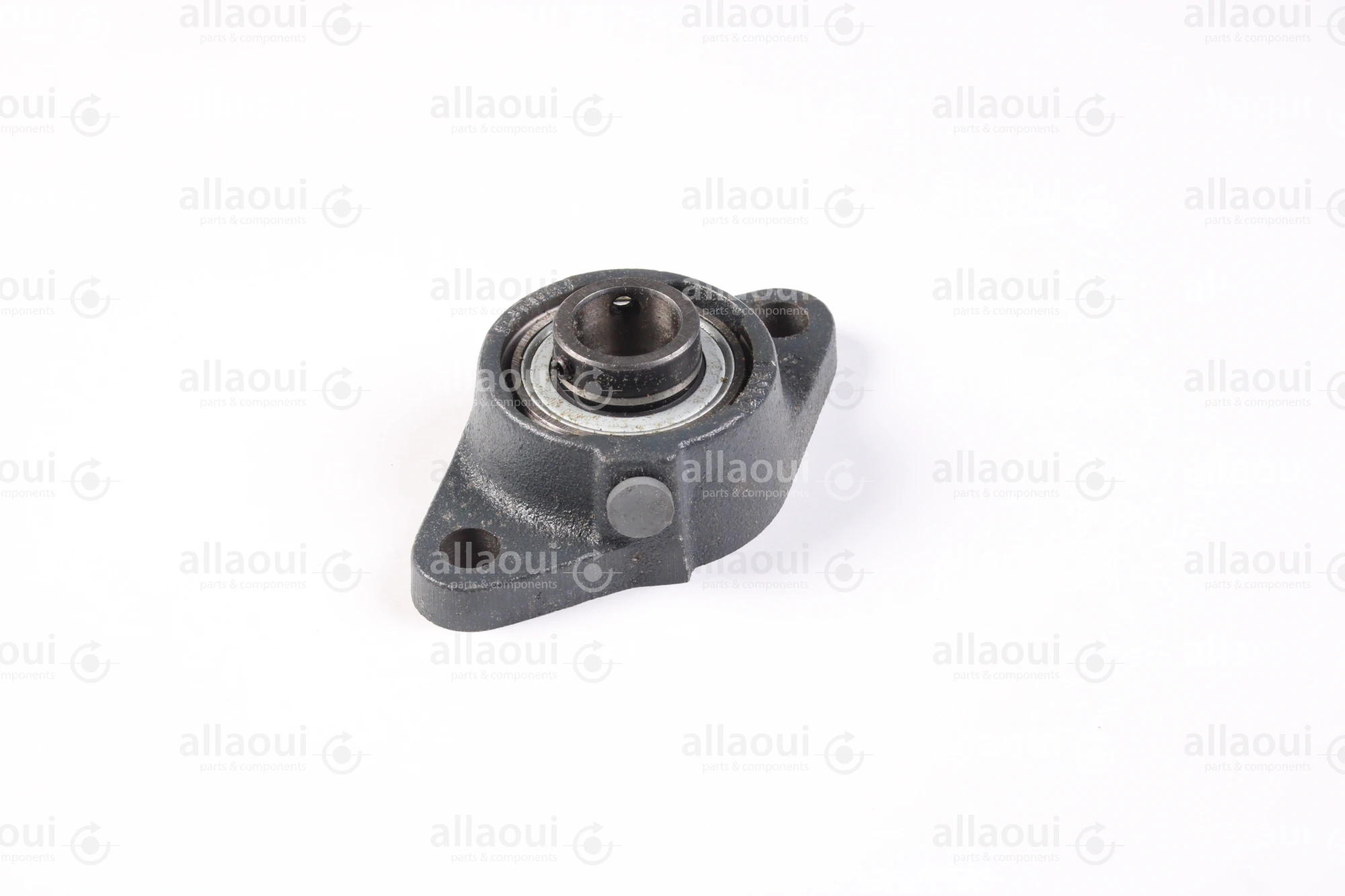Manroland Two-Bore Flange Bearing Housing Unit 16.97060-5120