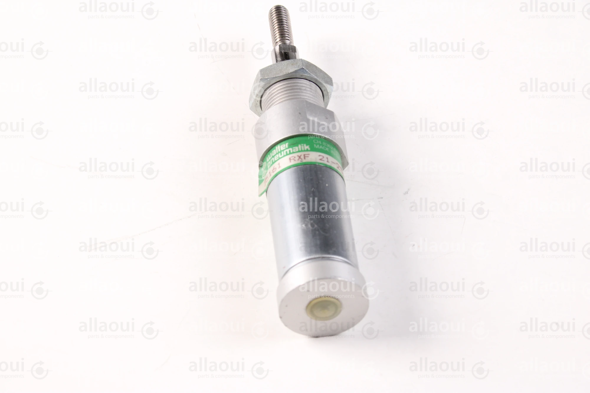 Walter Pneumatik Pneumatic Cylinder RXF-21-25-25-006