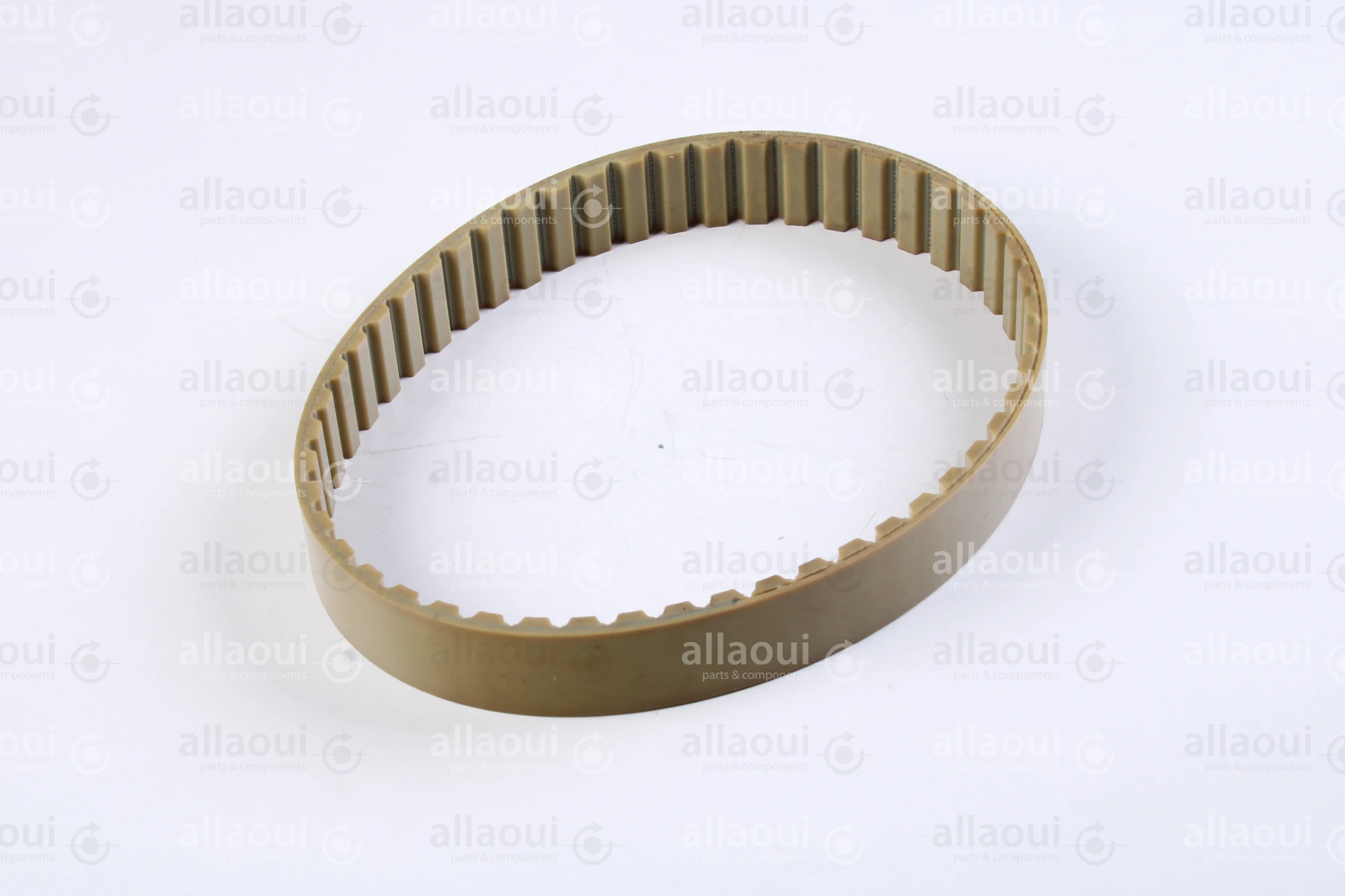 Müller Martini Timing Belt 3646.1267.4