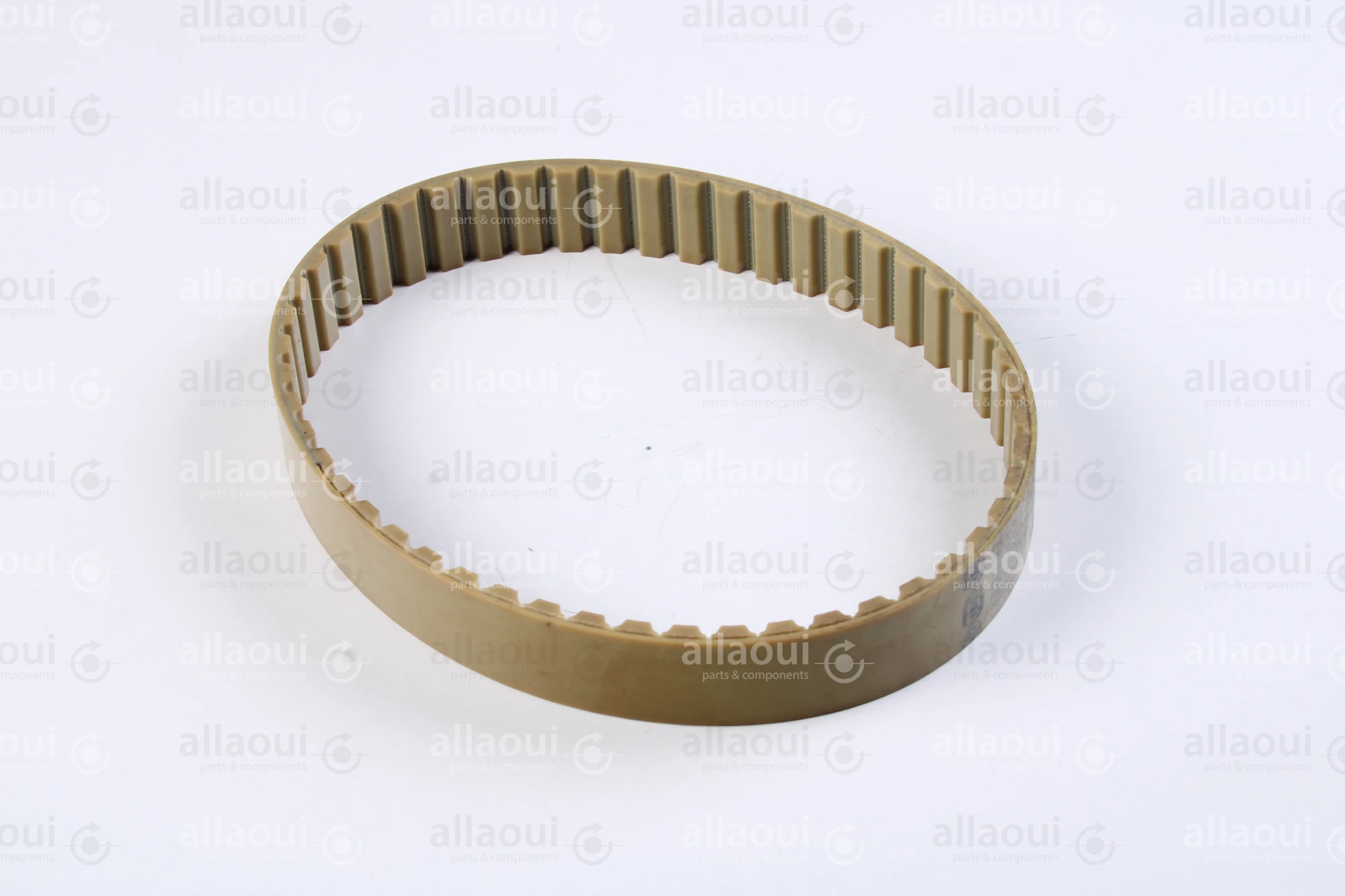 Müller Martini Timing Belt 3646.1267.4