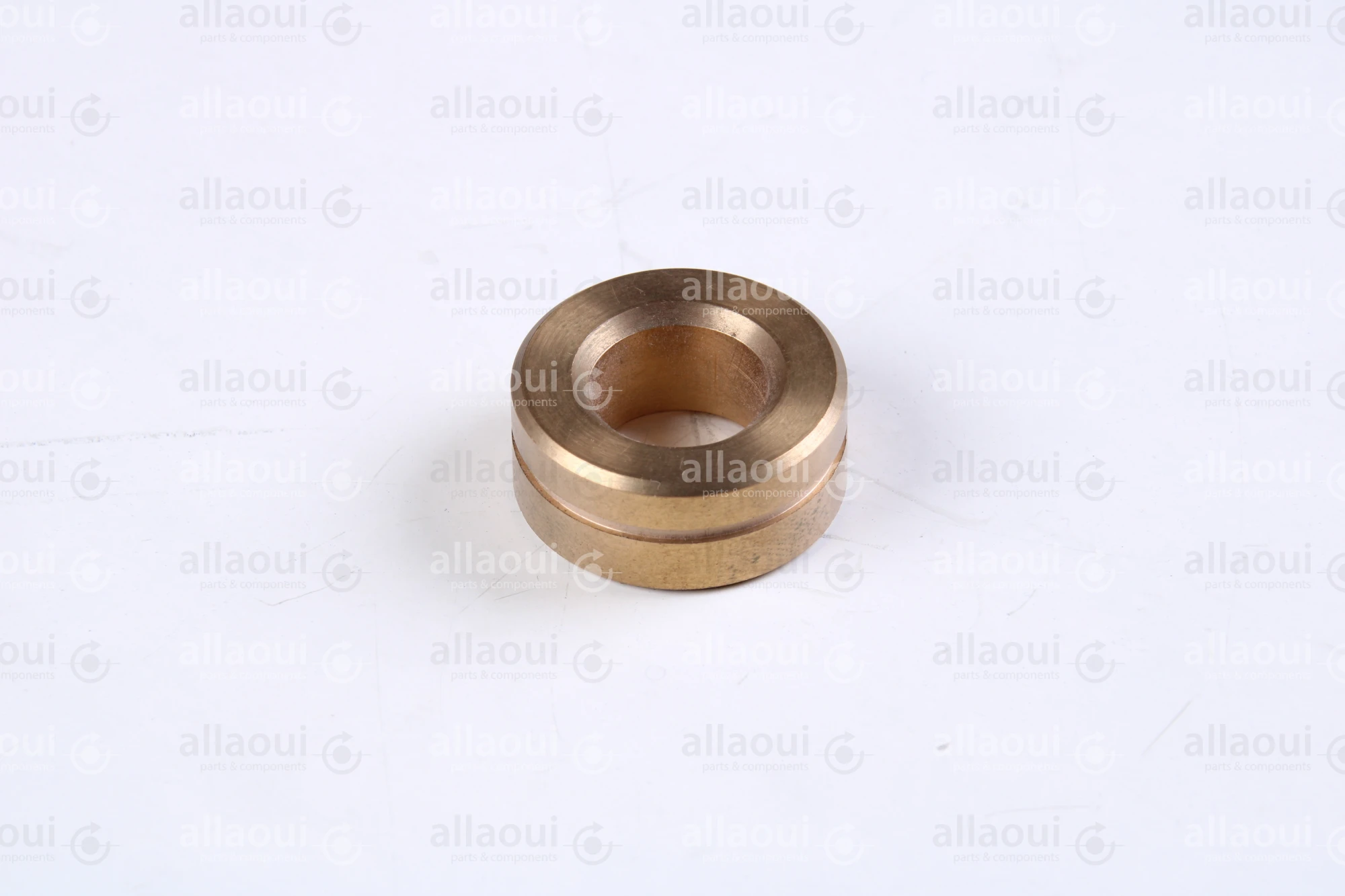 Polar Bearing bushing 448355