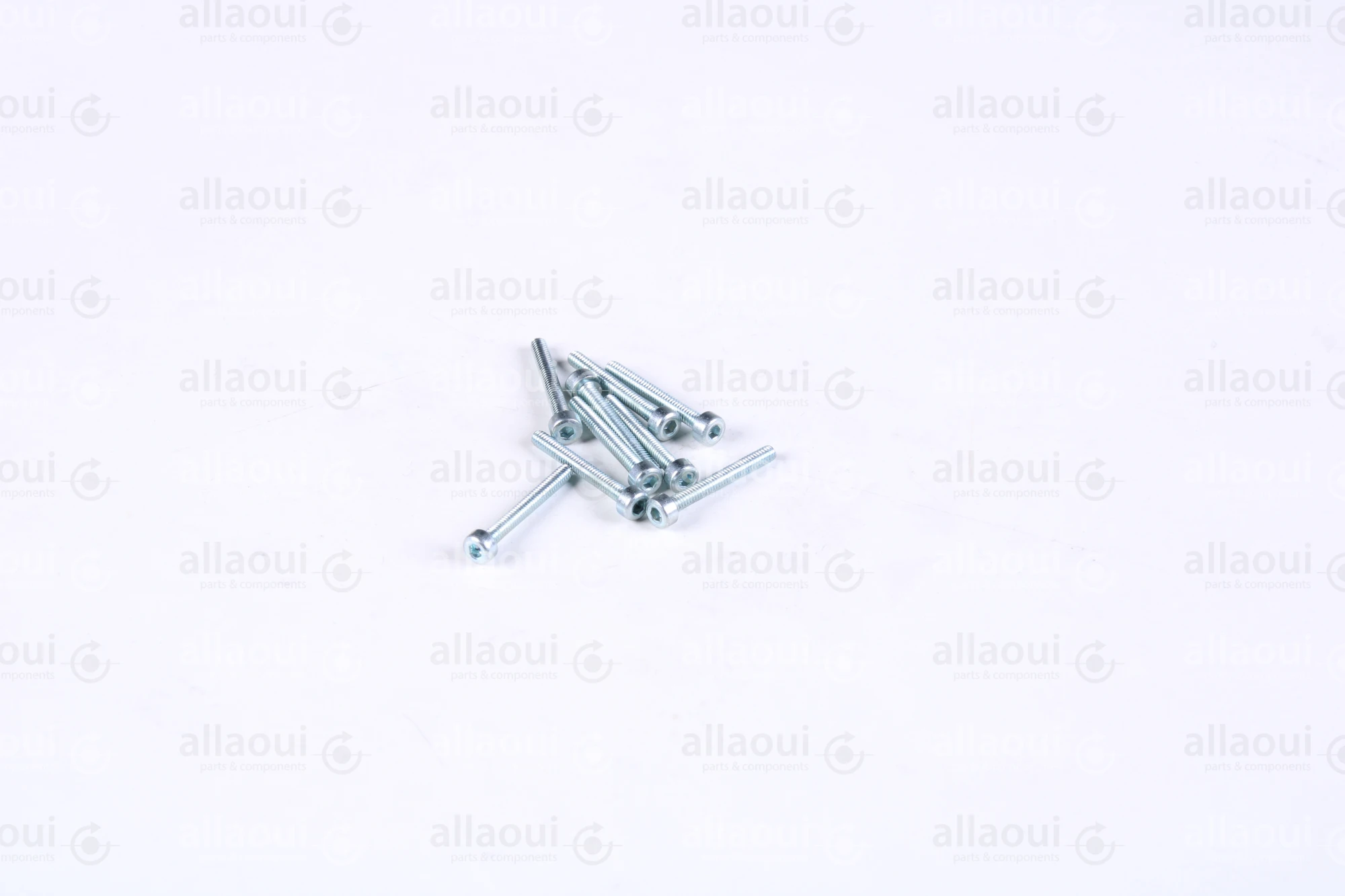 Müller Martini Allen Head Cyl Screw M2X16 (9 Pieces) 0030.0136