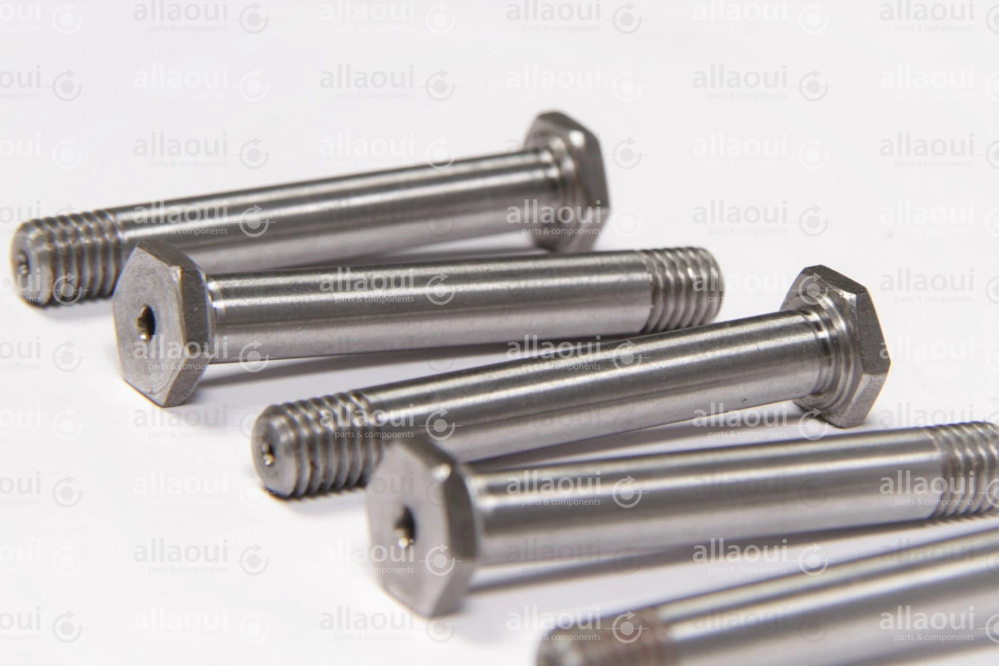 Manroland Bolt (5 Pieces) 16.31293-0095