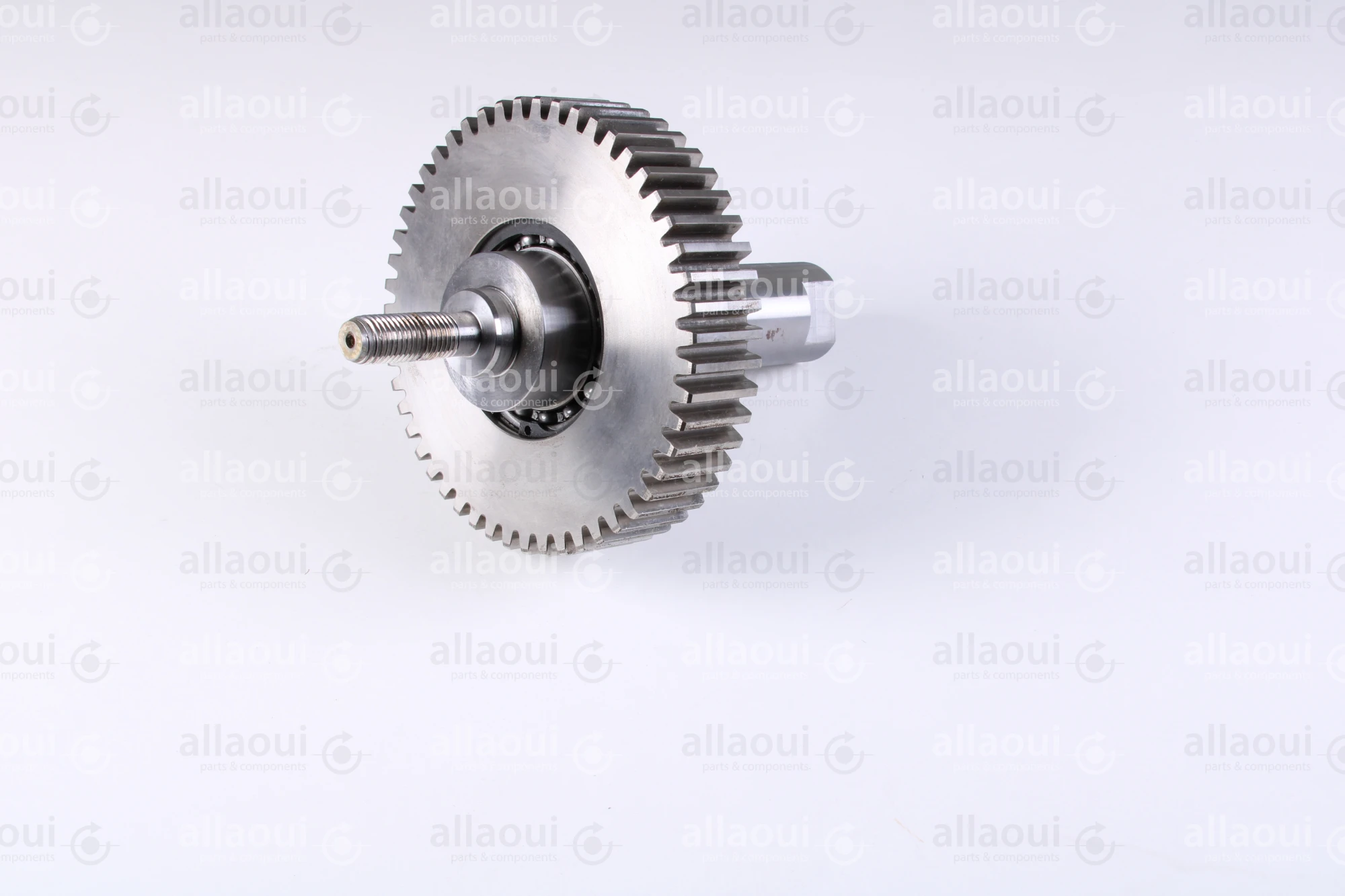 Heidelberg Journal 7G.010.513F/05