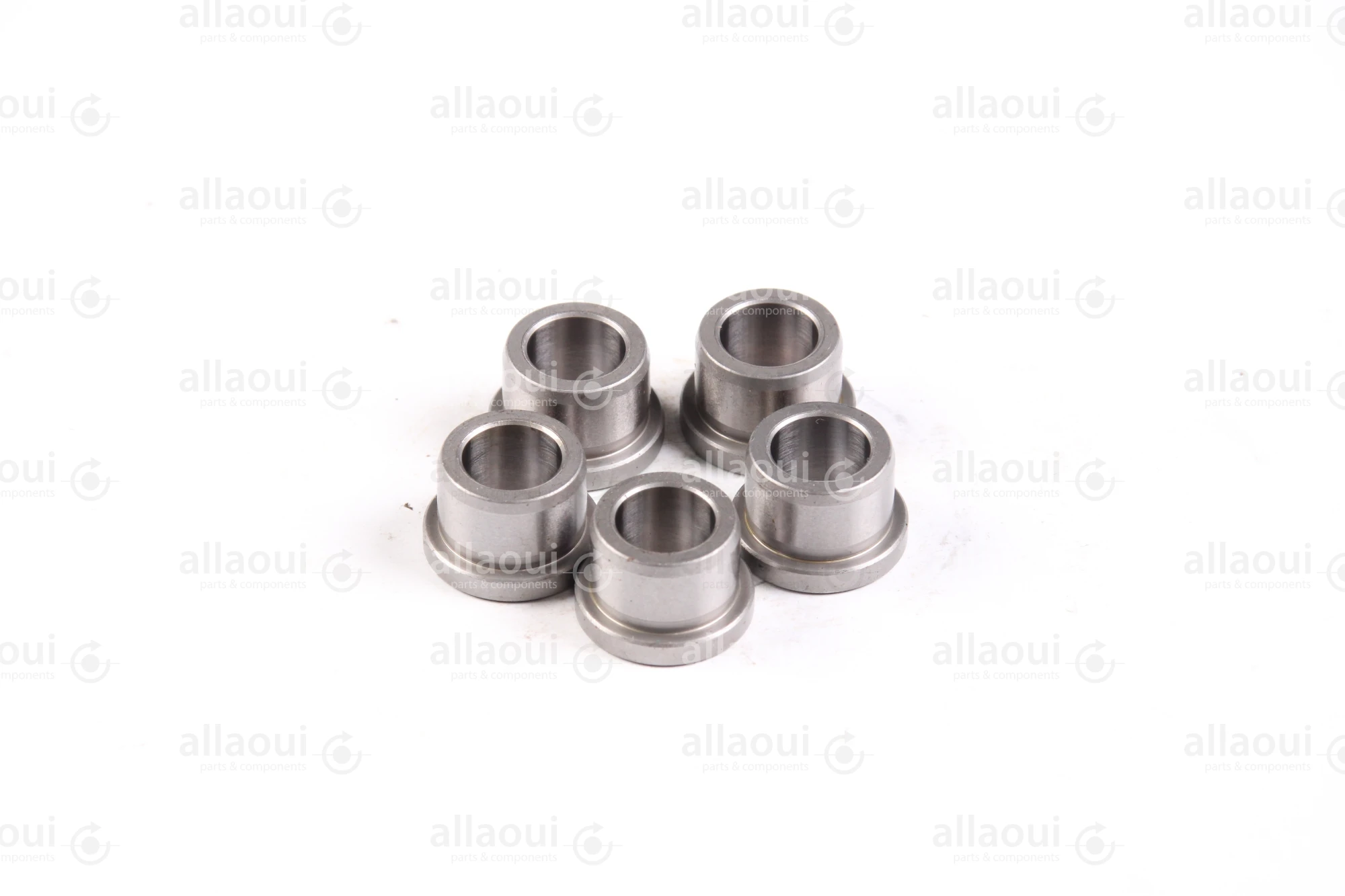 Ludwig Meister DIN 172 Guide Bushings(5 Pieces) 480-DIN172-B10-12-A