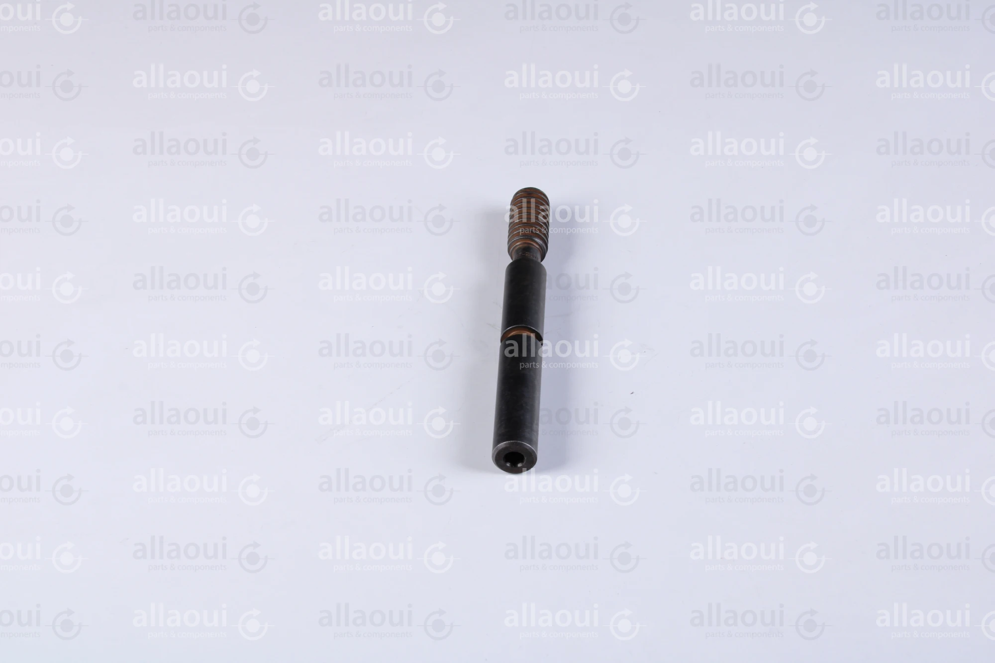 Manroland Worm 8008F302351