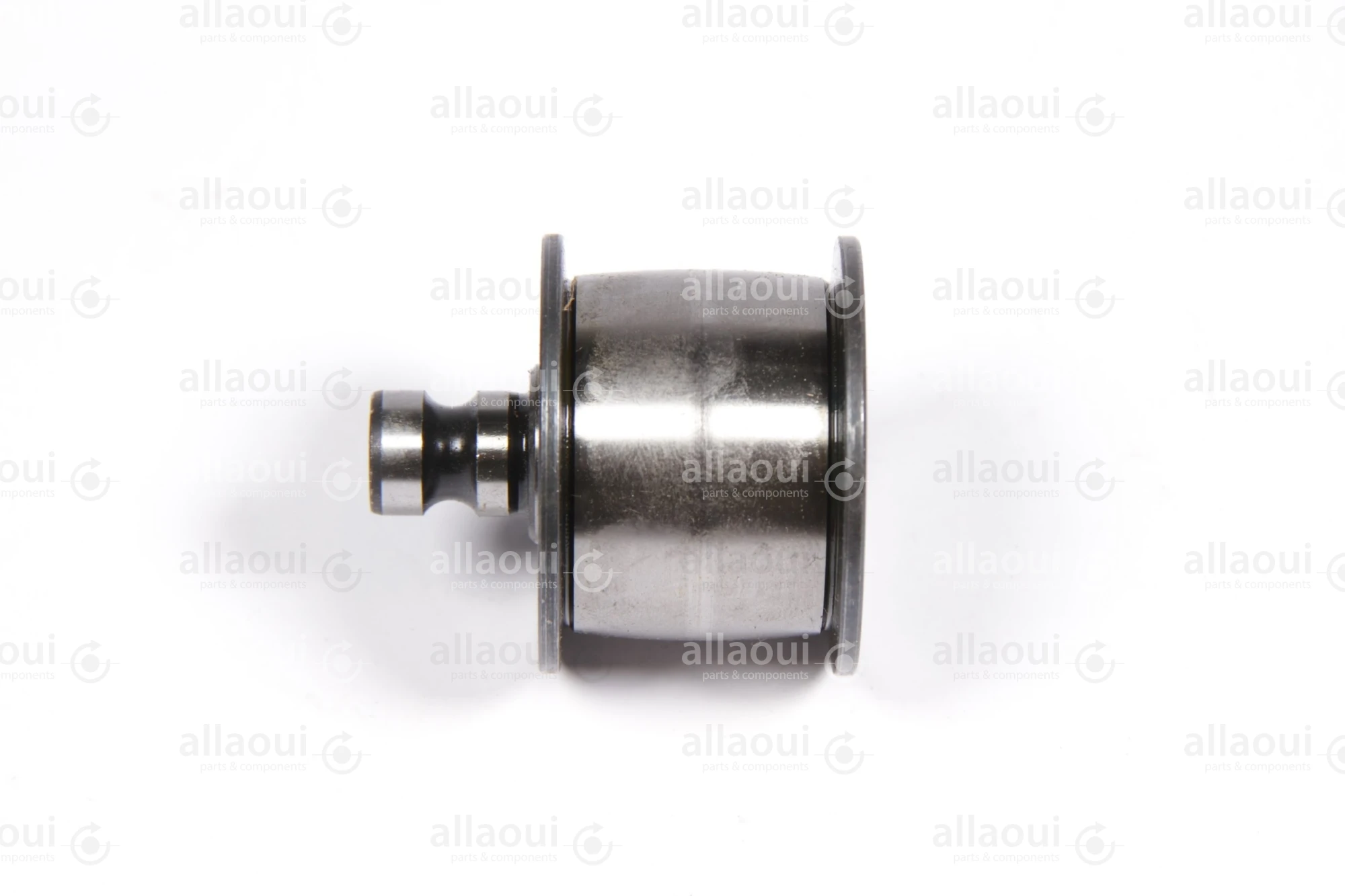 Manroland Roller 16.22060-0100