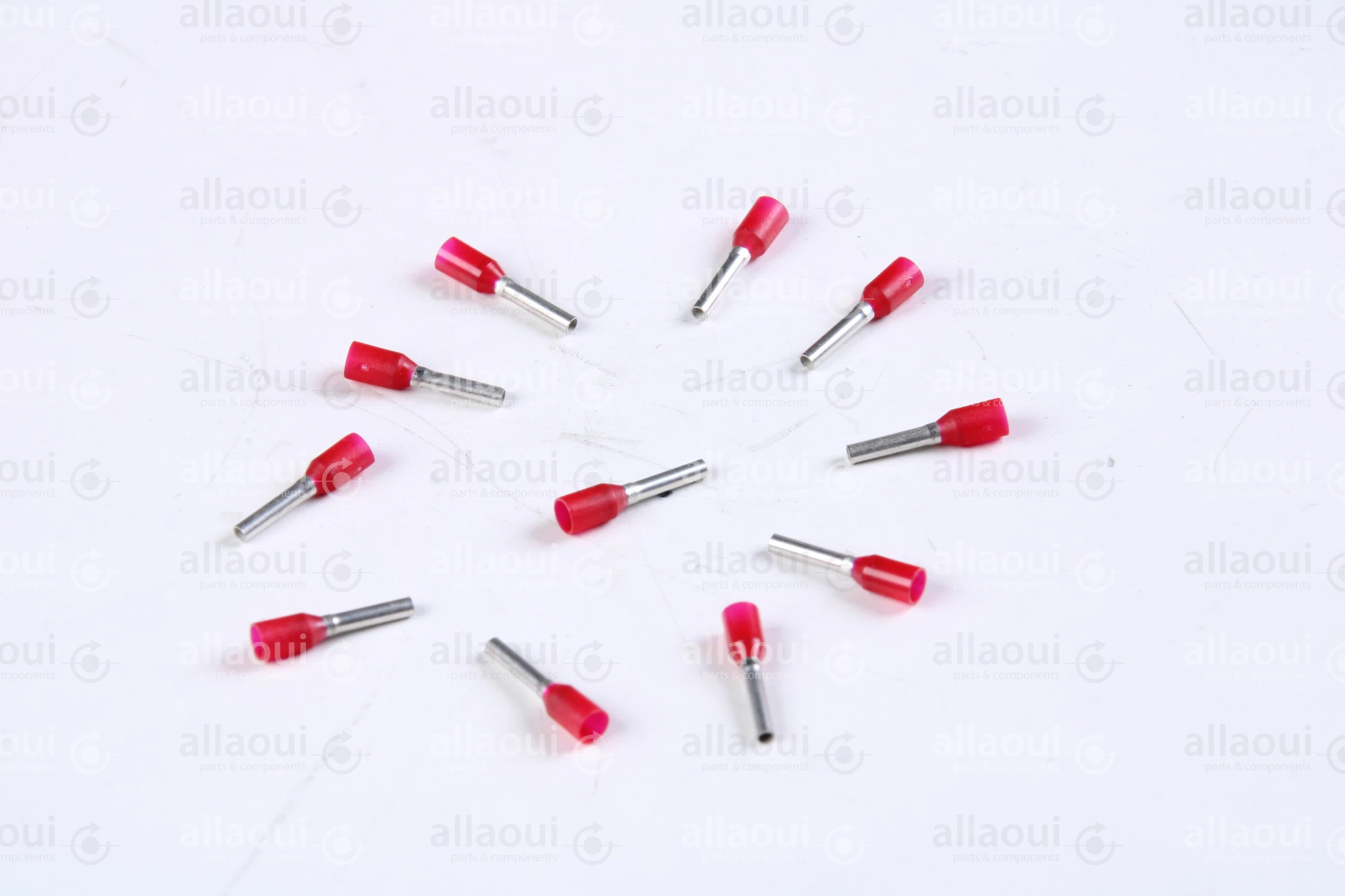 Koenig & Bauer (KBA) End-Fitting (11 Pieces) L0721812