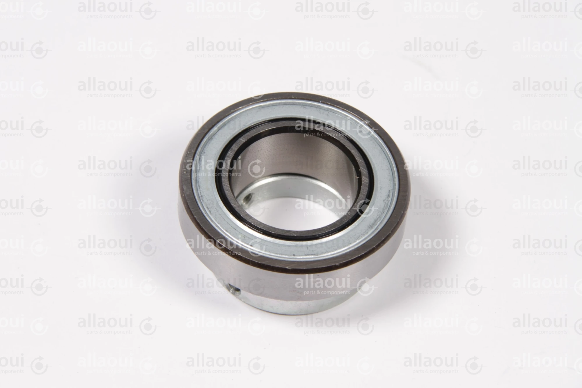 INA Bearing RALE30-NPP-FA106