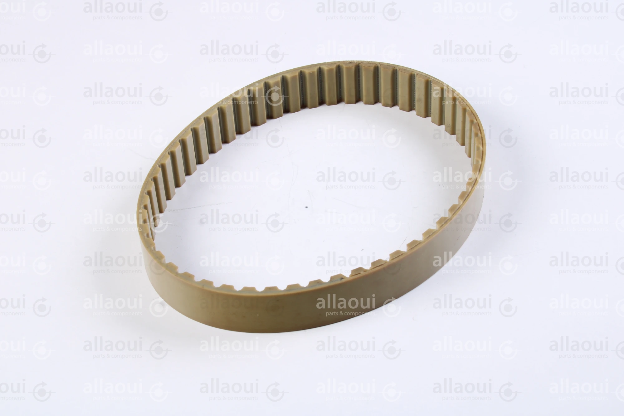 Müller Martini Timing Belt 3646.1267.4