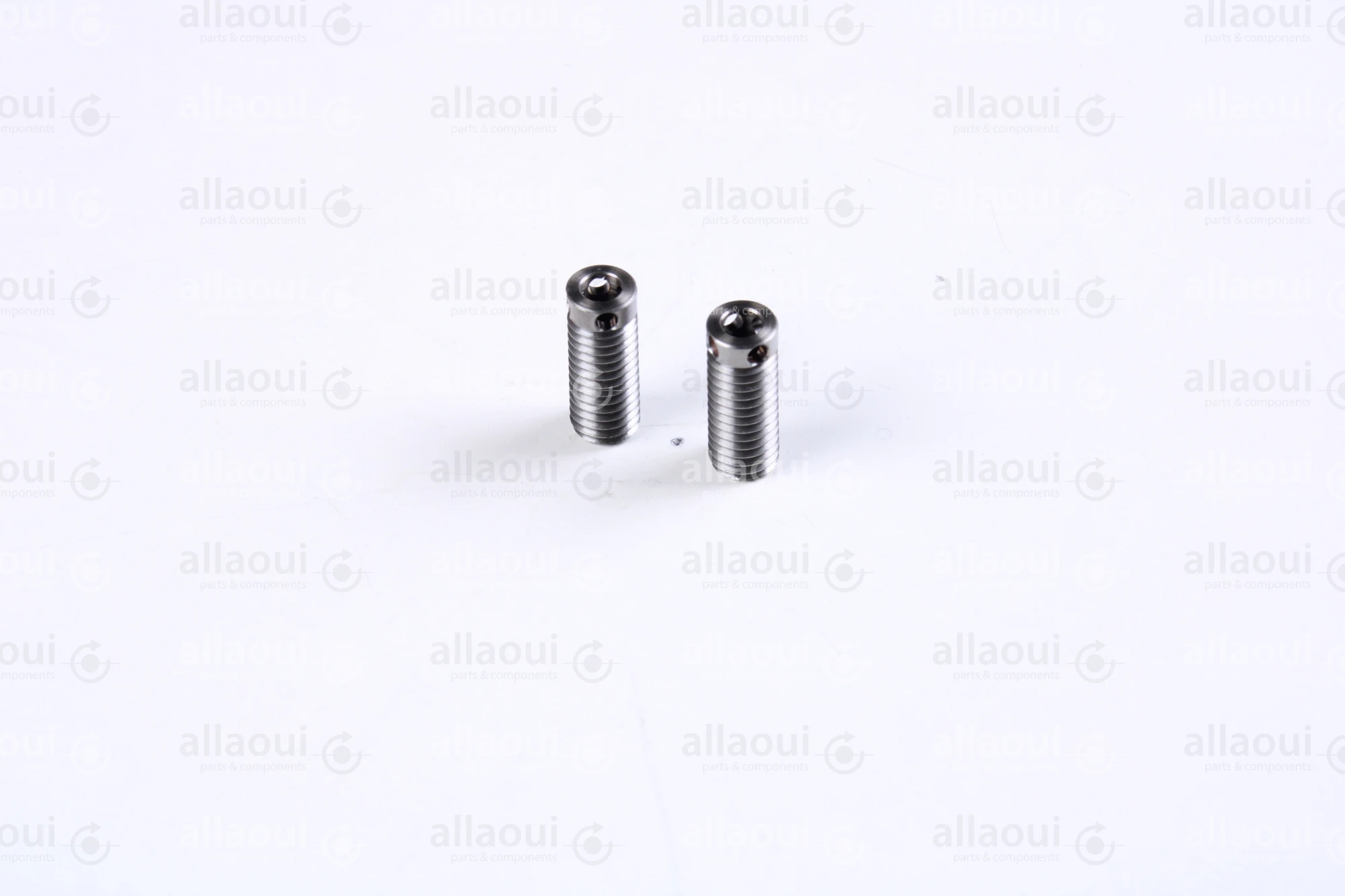 Müller Martini Screw (2 Pieces) 3675.2556.4 (2 Stück)