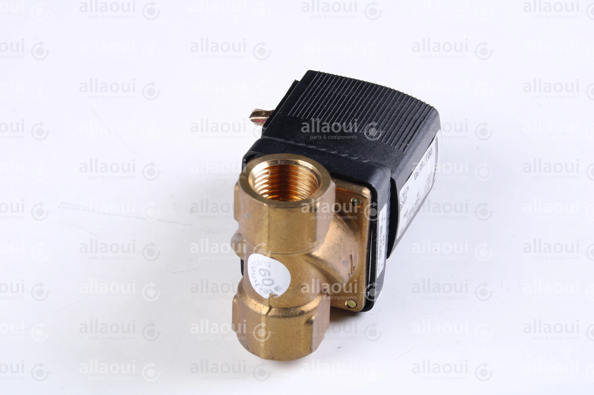 Technotrans Solenoid Valve 00176690