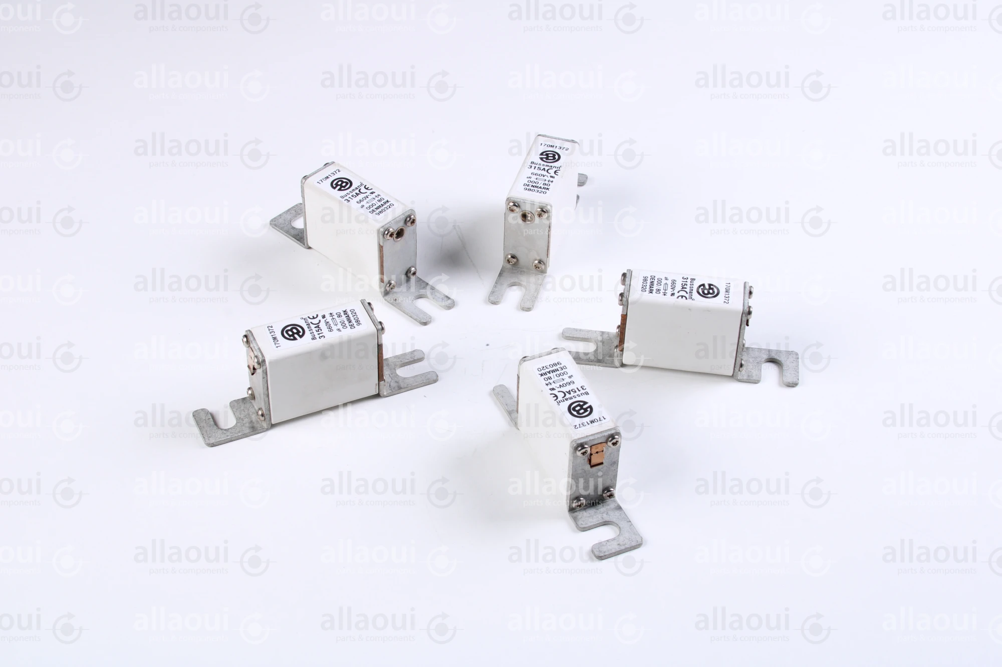 Bussmann Fuse 315A 660V (5 Pieces) 170 M 1372