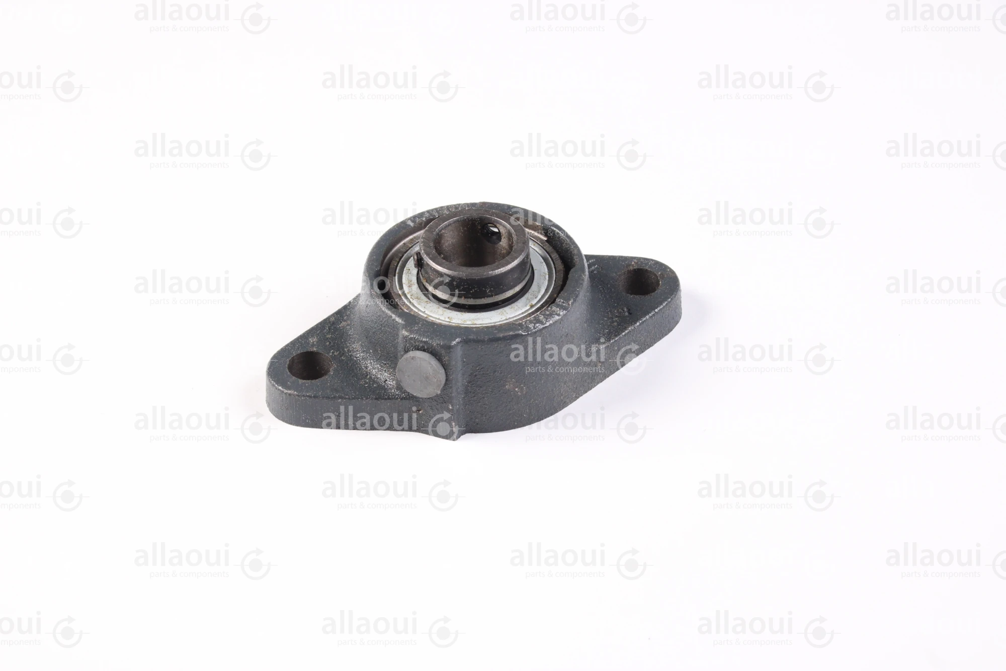 Manroland Two-Bore Flange Bearing Housing Unit 16.97060-5120