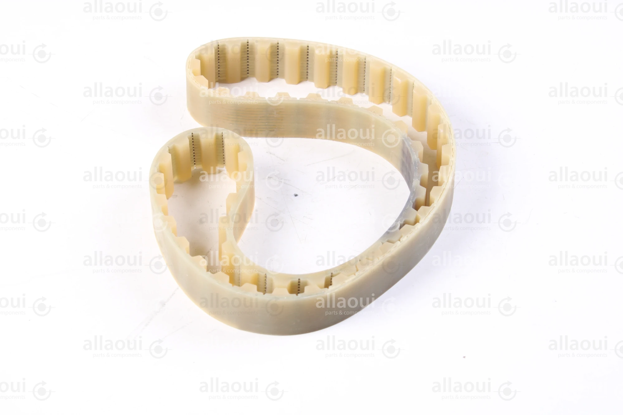 Müller Martini Toothed Belt T10-Z56 3671.1343.4