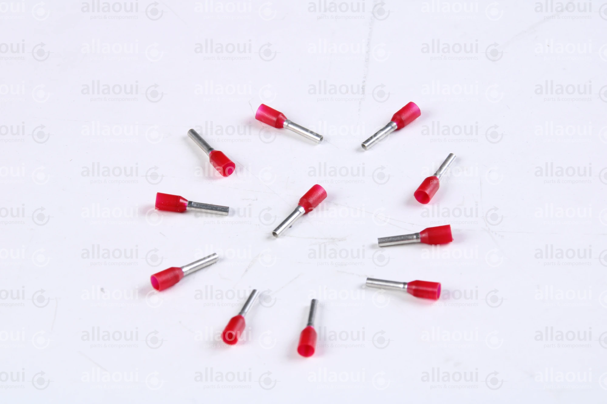 Koenig & Bauer (KBA) End-Fitting (11 Pieces) L0721812