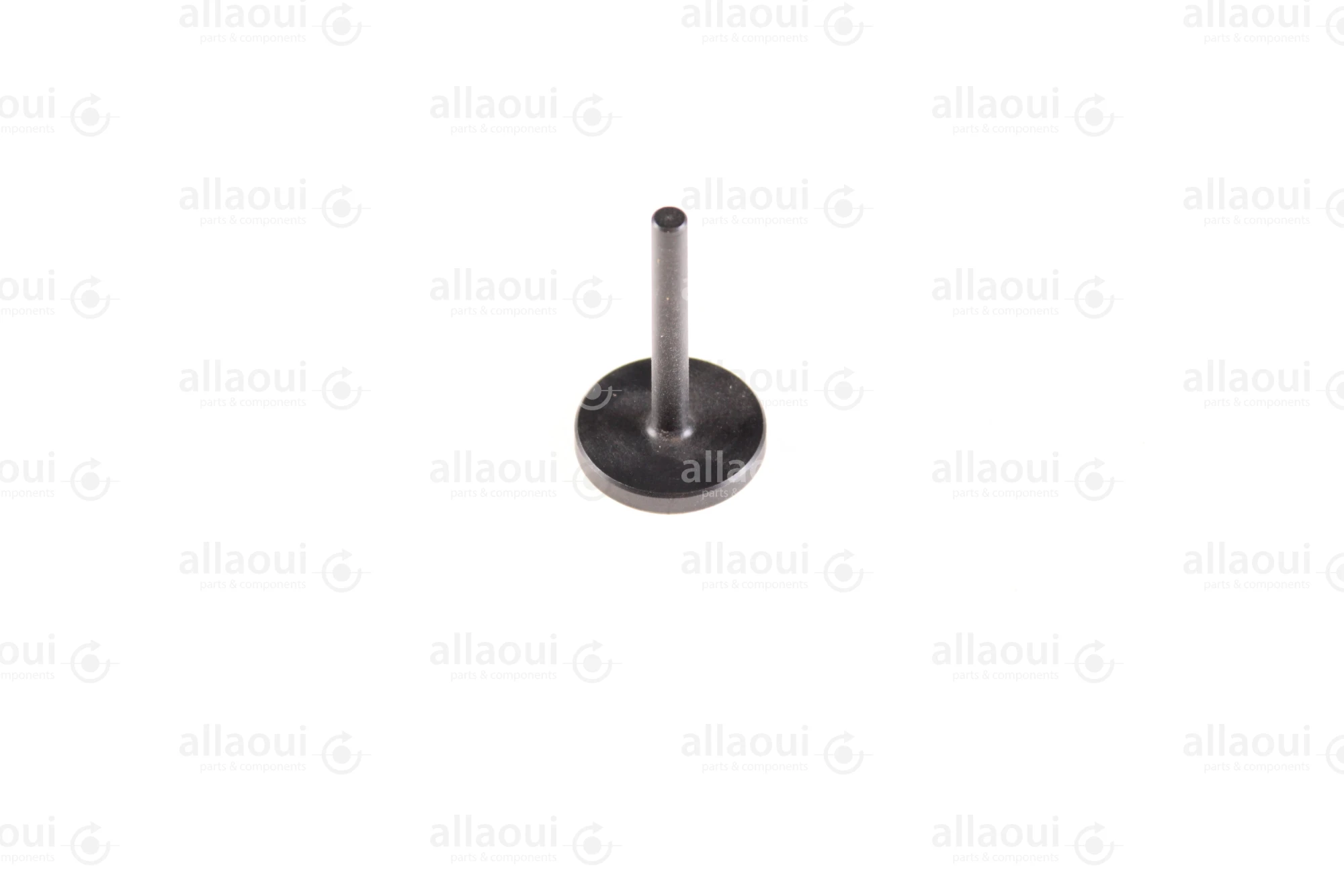 Koenig & Bauer (KBA) Piston P0060540