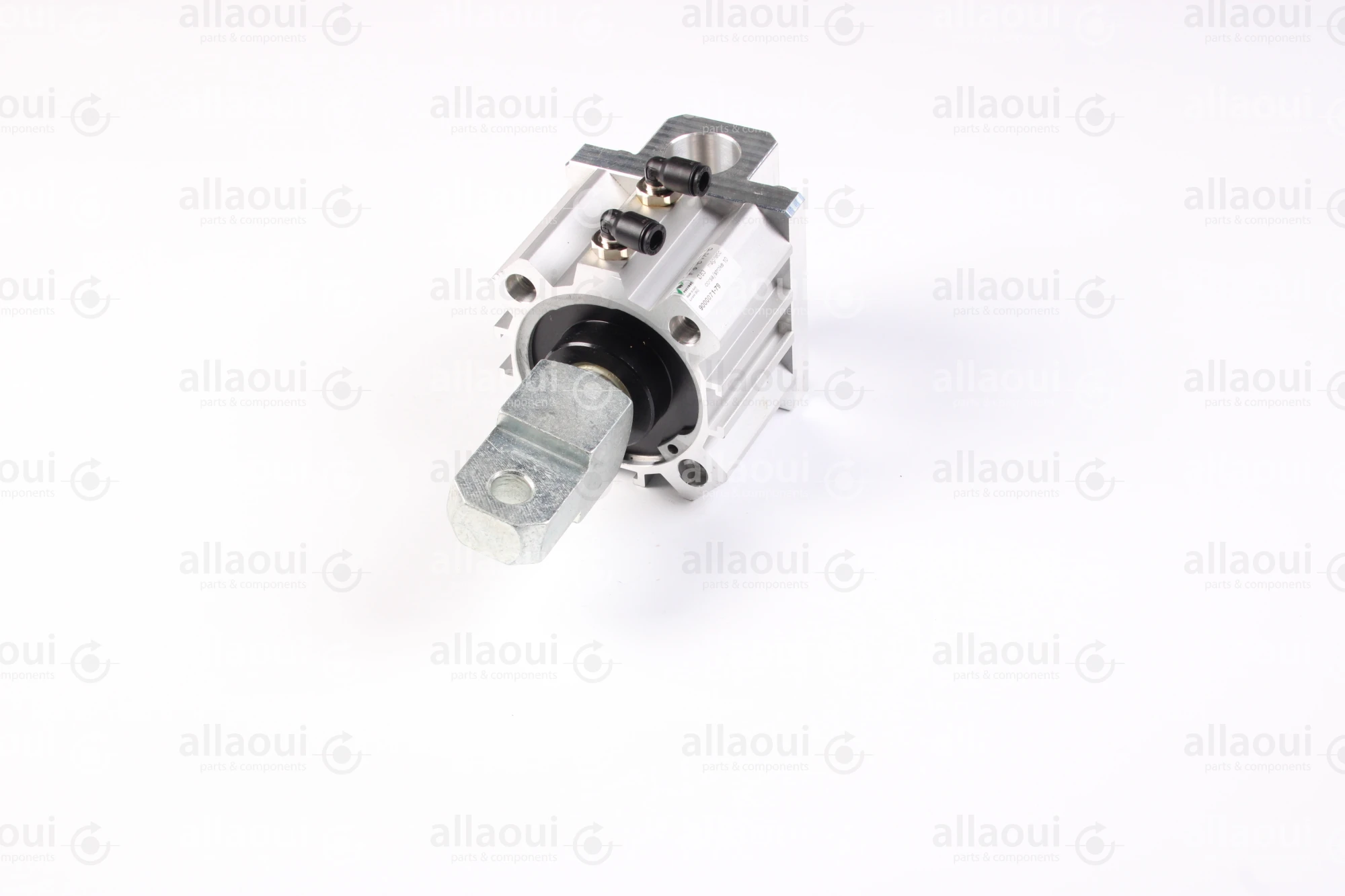Elettra S.r.l Air Cylinder 1026650-00