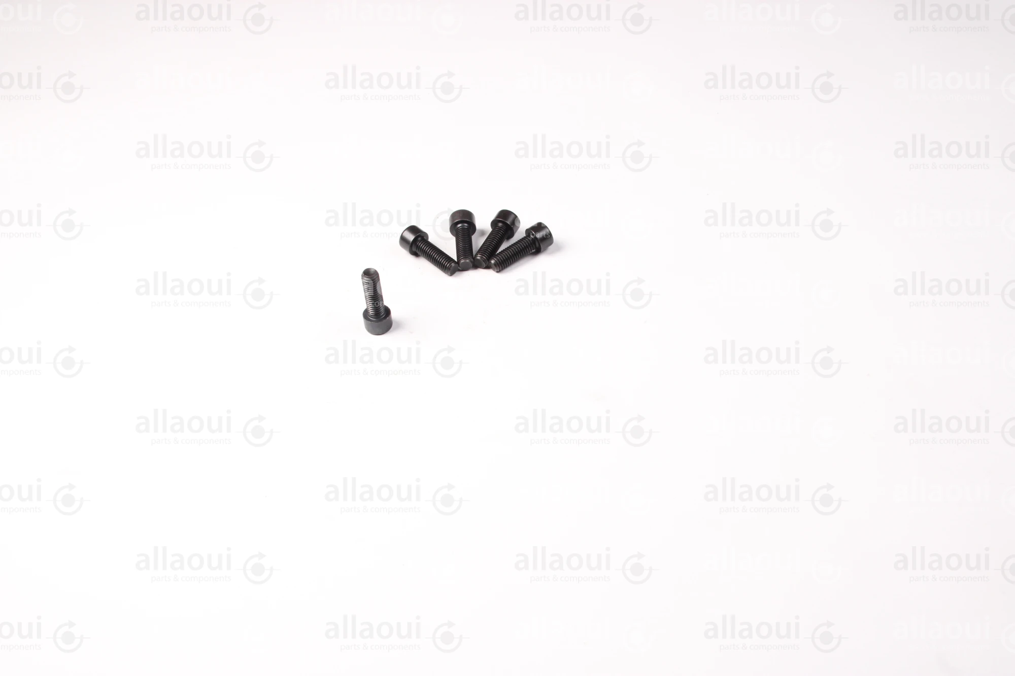 Manroland Cylinder Screw (5 pieces) 06.02093-0510