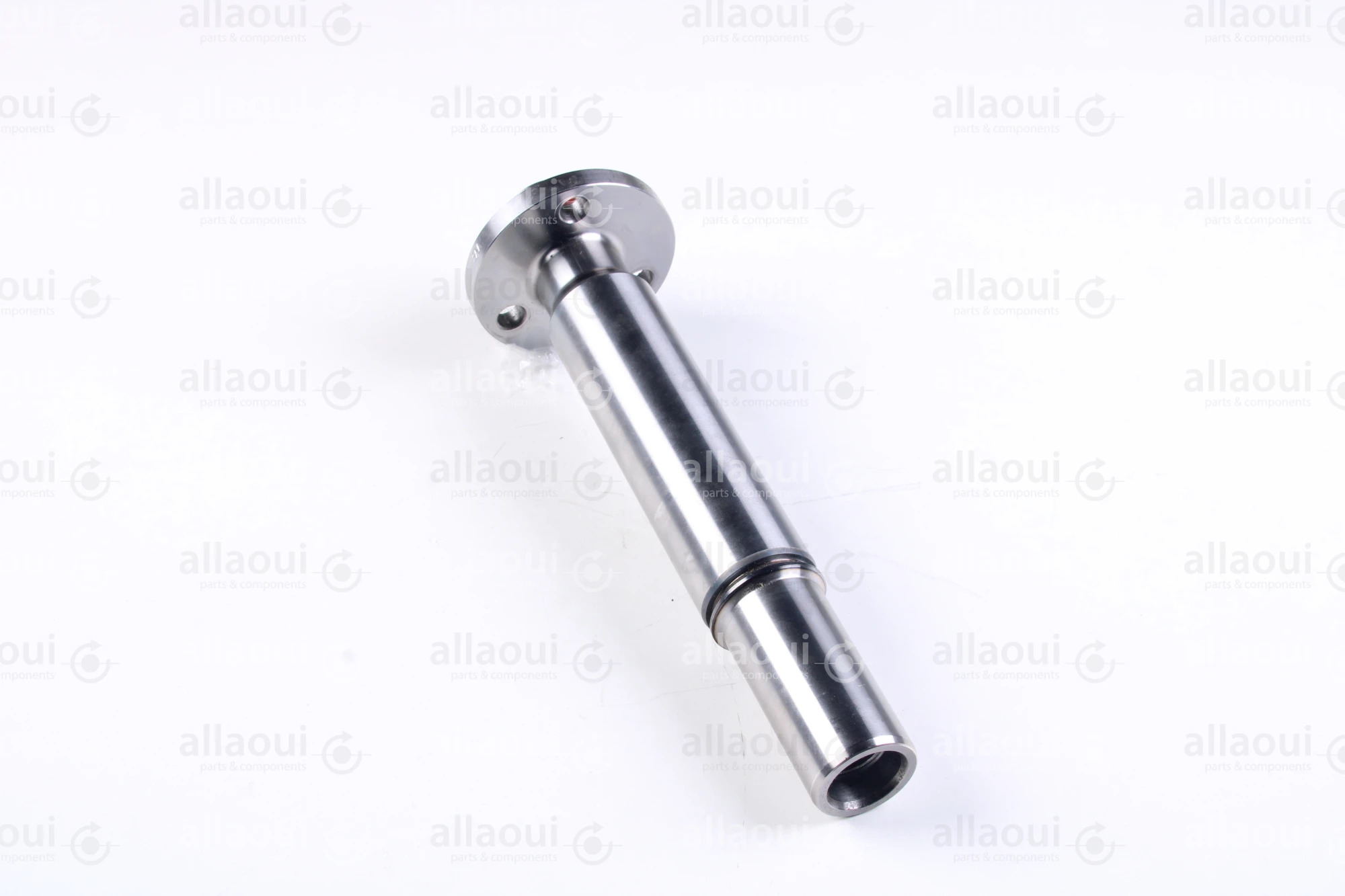 Heidelberg Journal F2.009.019